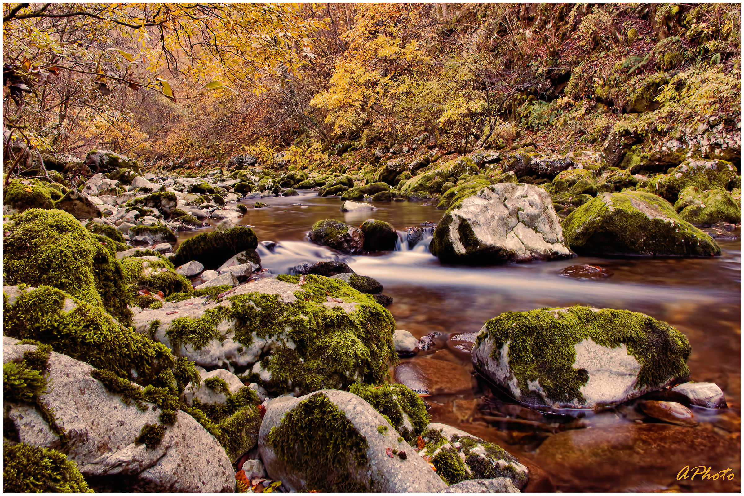 Cornappo stream autumn