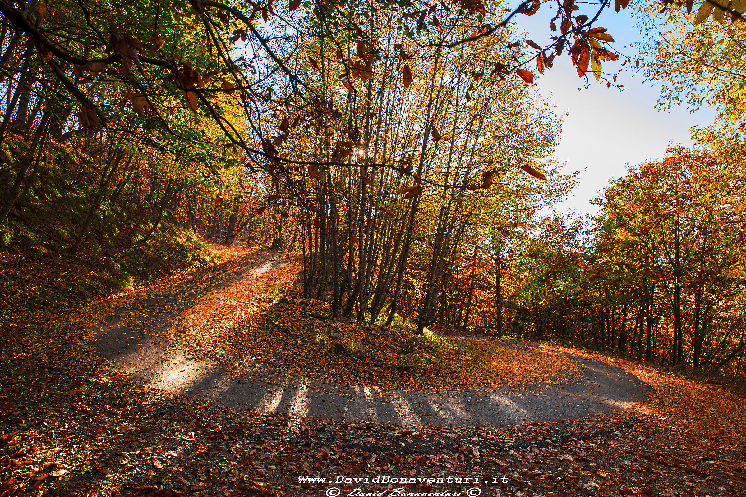 "Tornanti autunnali"