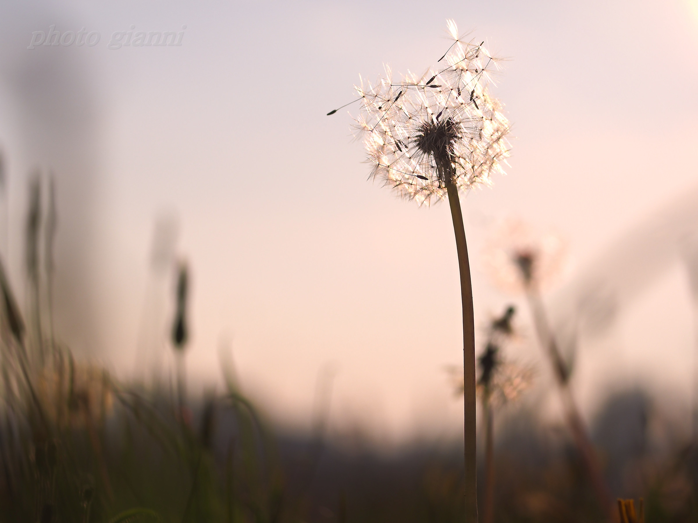 tutto ha inizio e fine