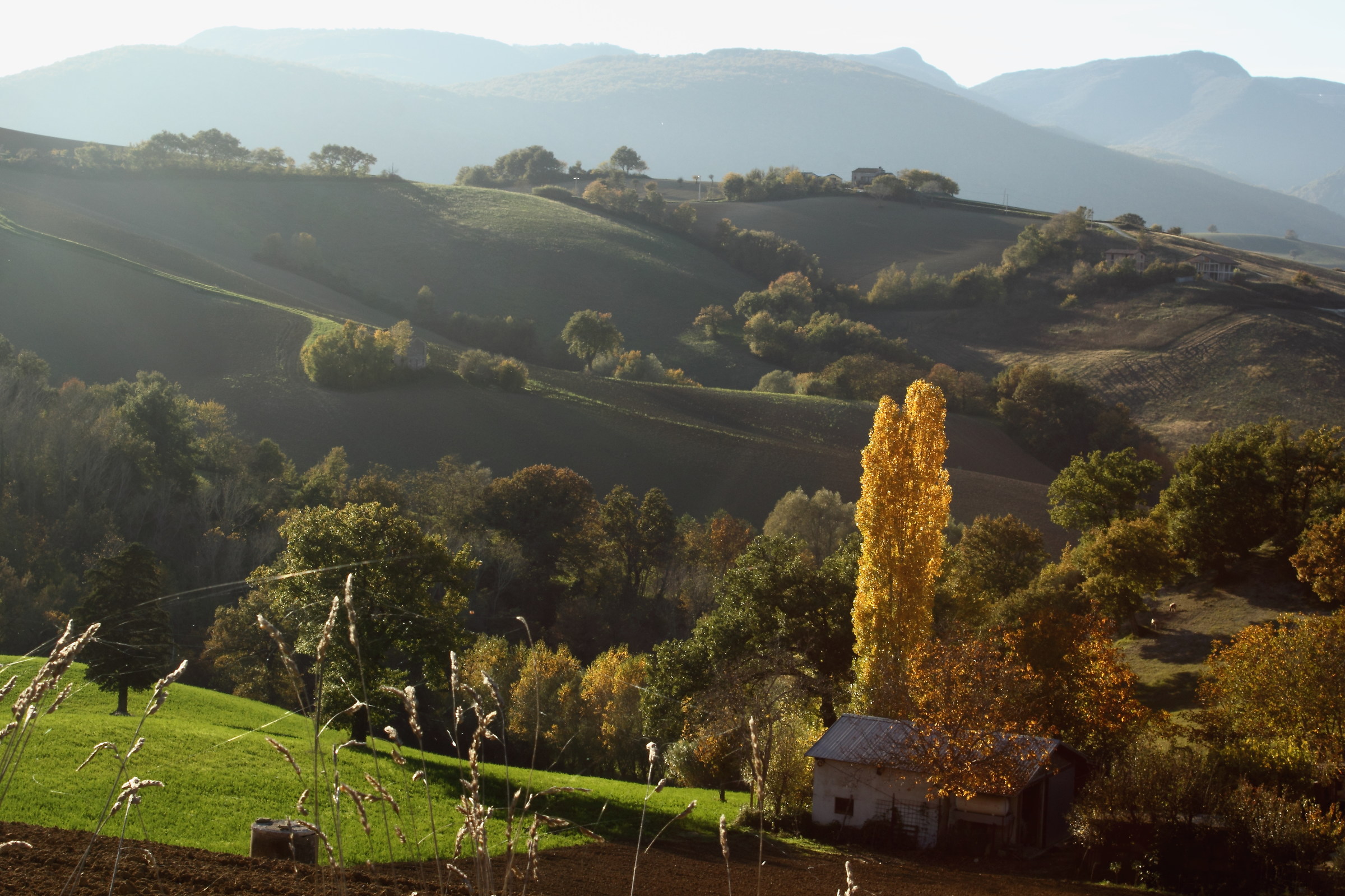 Hills between San Severino and Serrapetrona