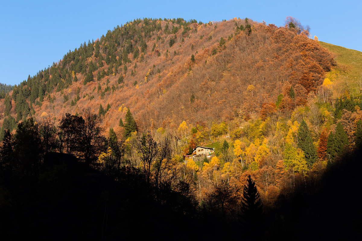 Autumn in Valtorta ...