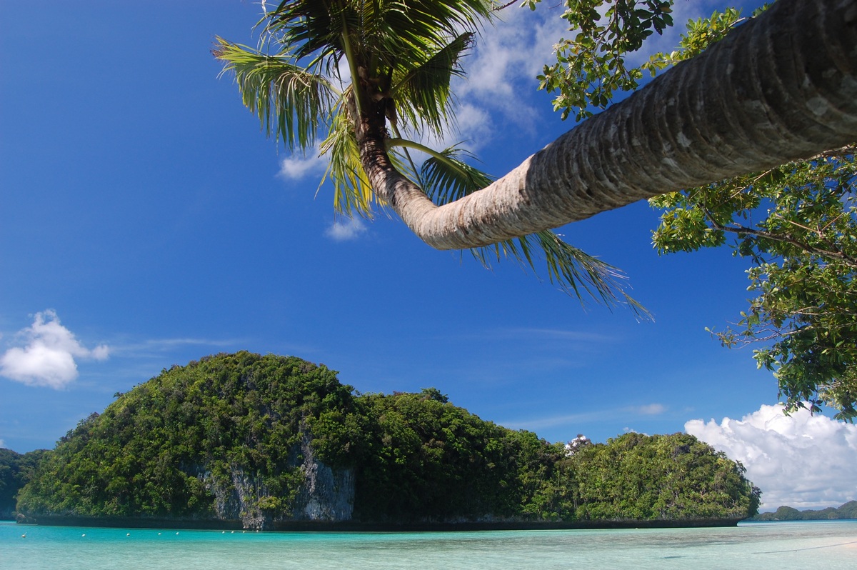 Palau 2