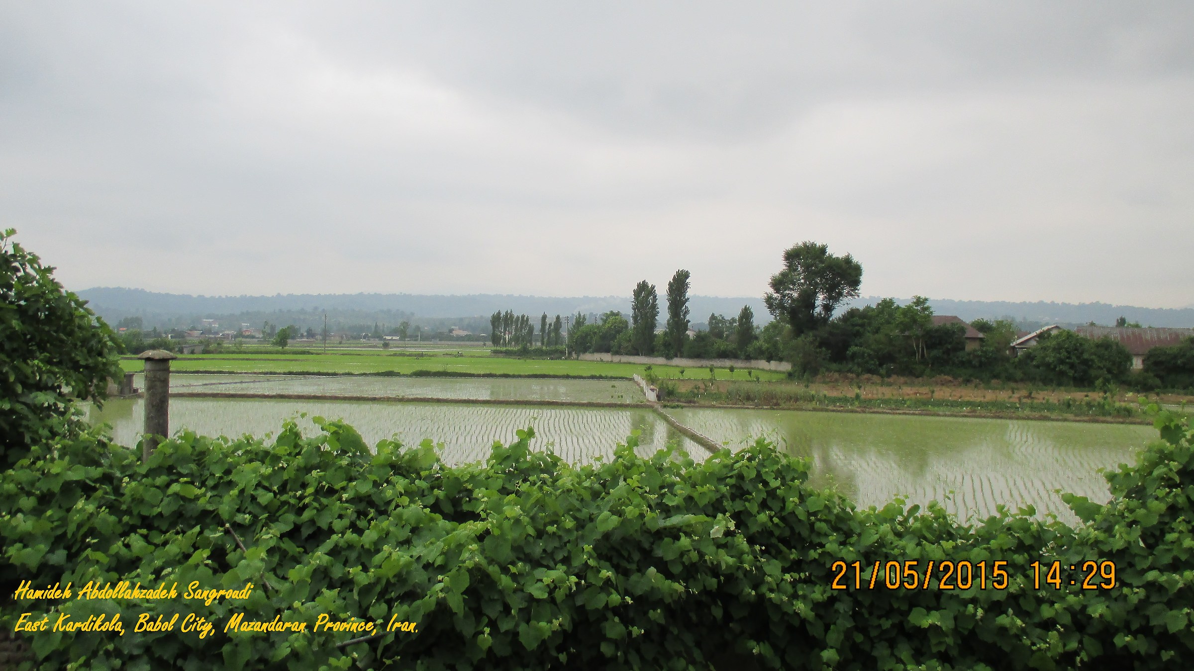 La nostra casa vista in Oriente Kardikola in primavera
