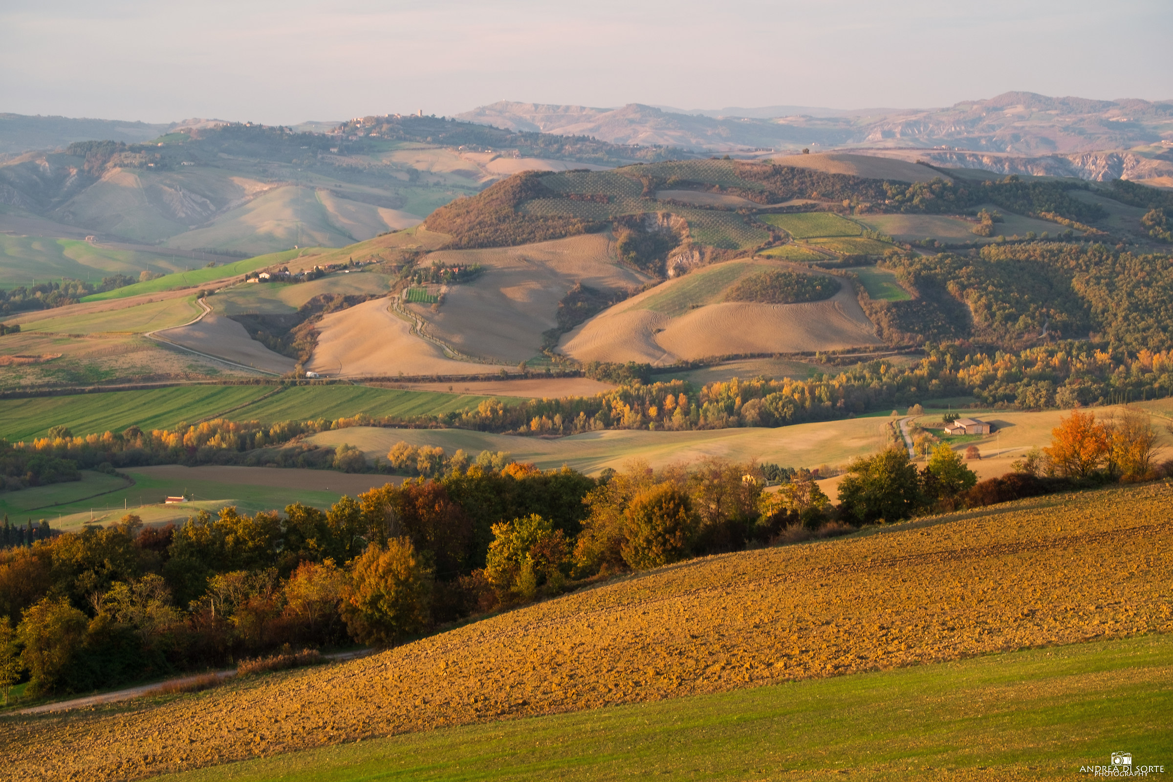 Trevinano sul confine\3