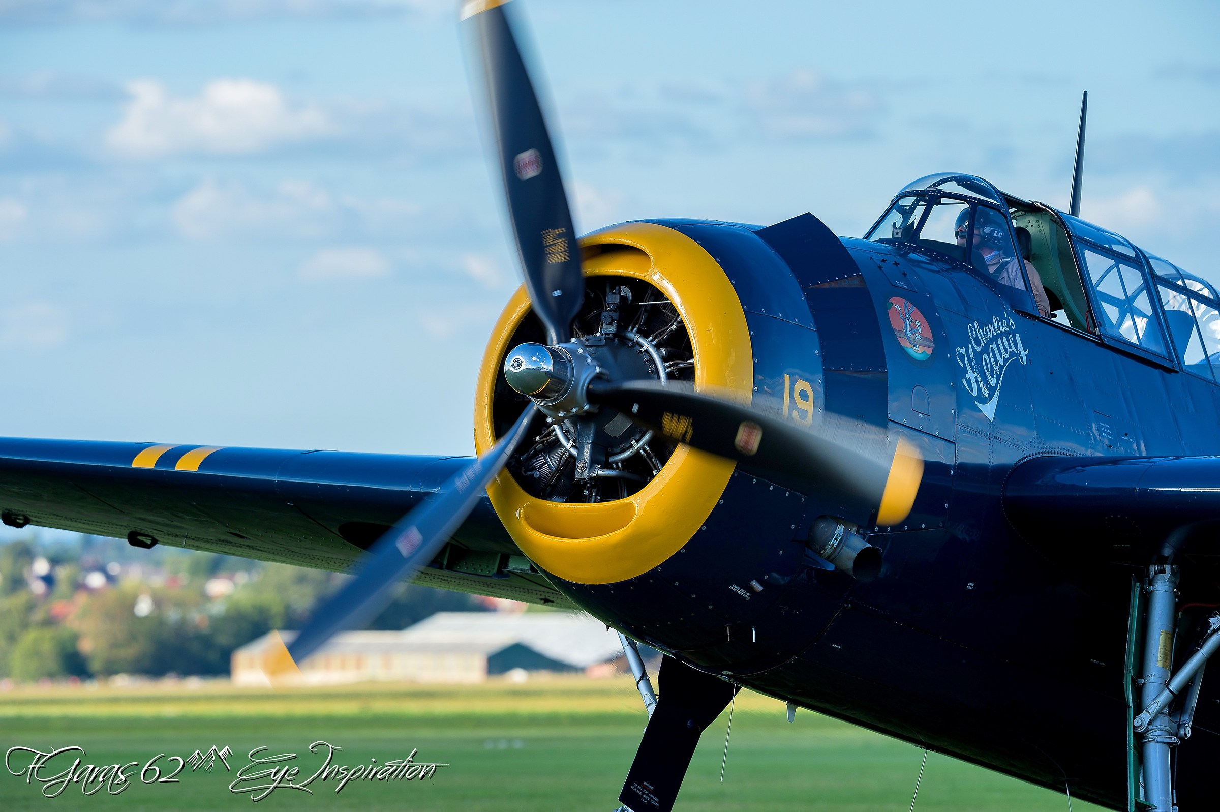 incontro Aerien de lente Bénifontaine