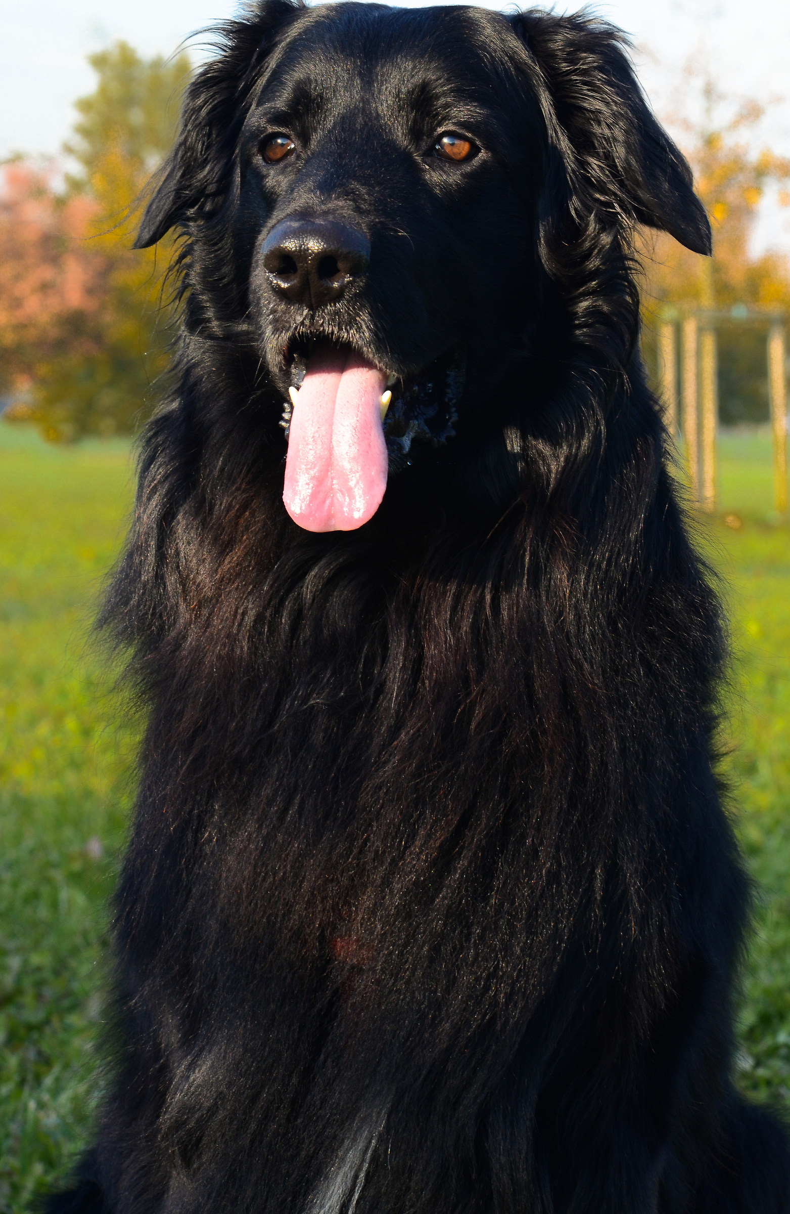 Con il sole negli occhi...!