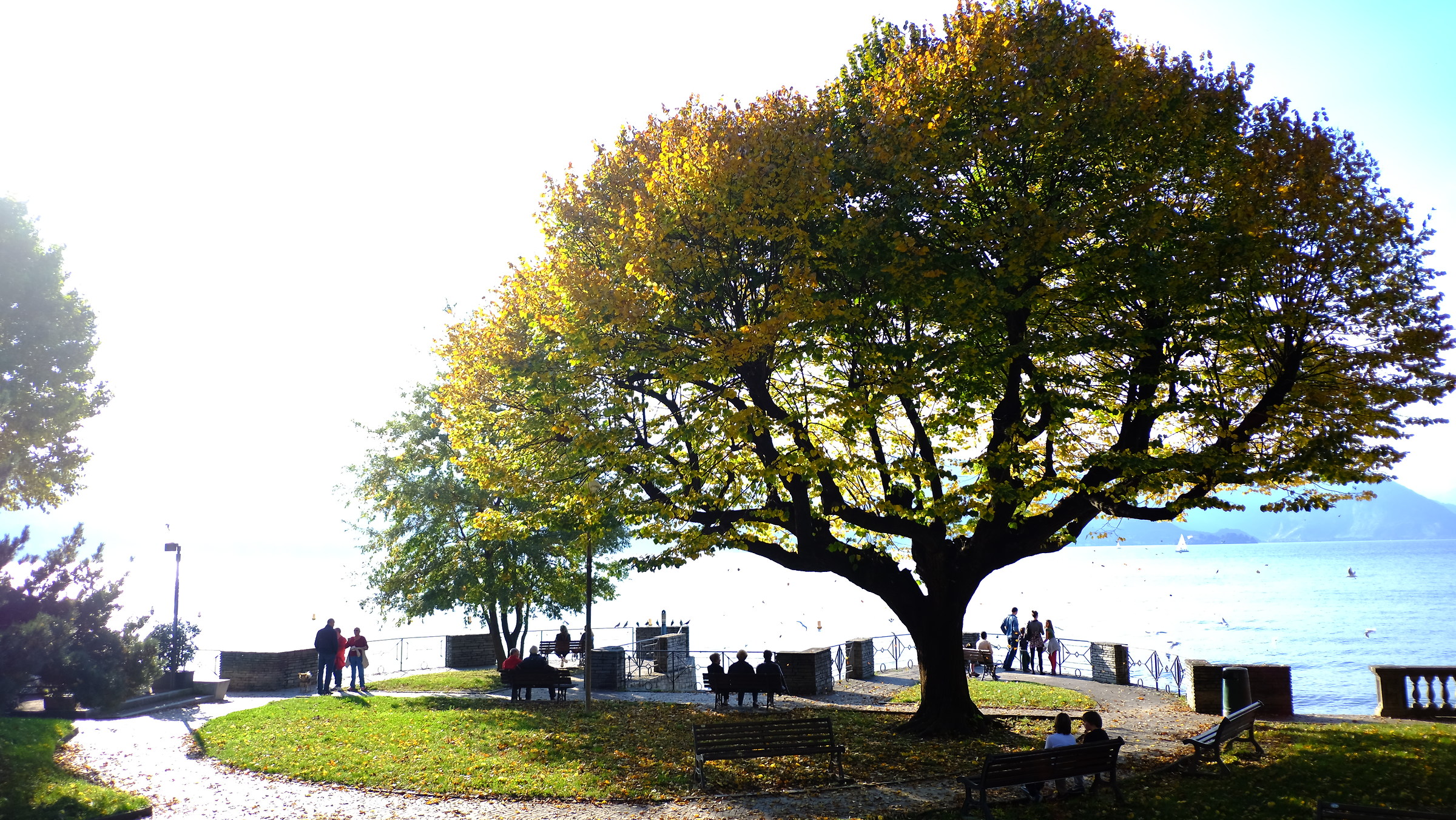 Lake Park & Granpa's Life