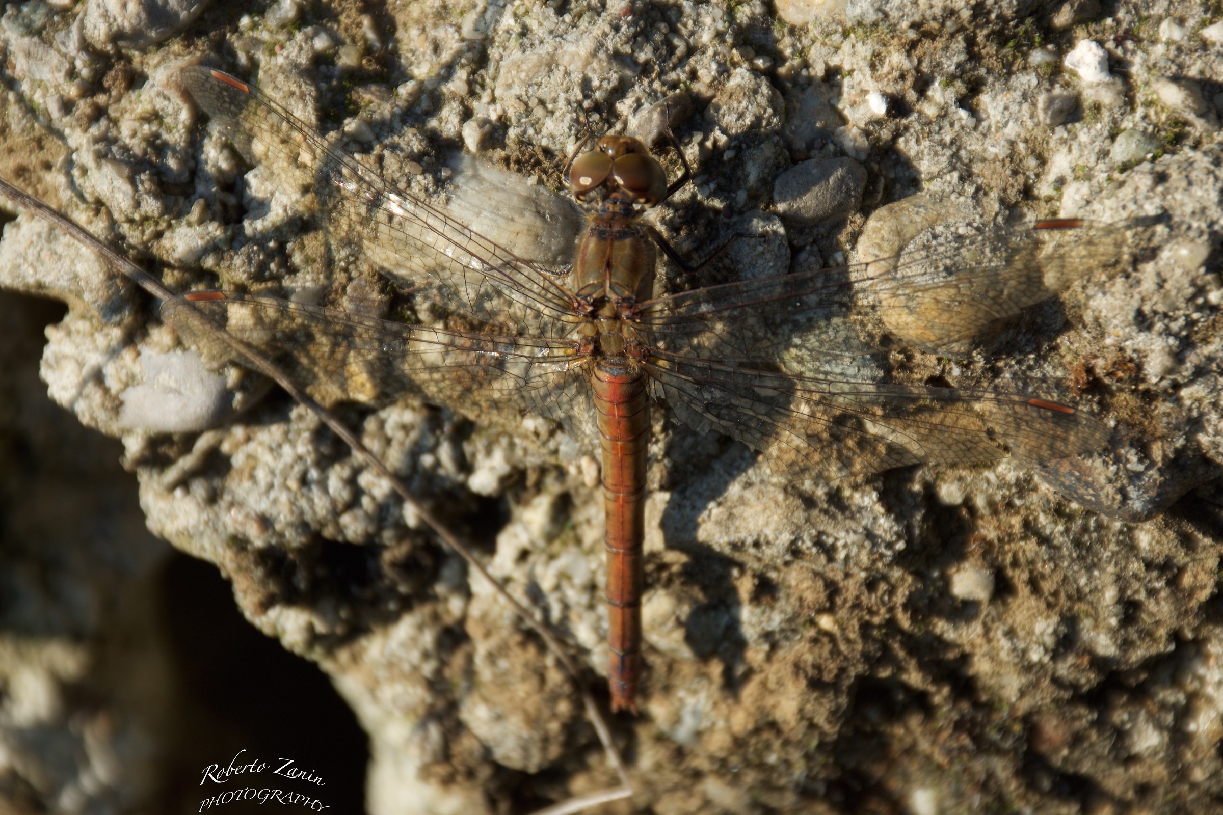 On the rocks .......