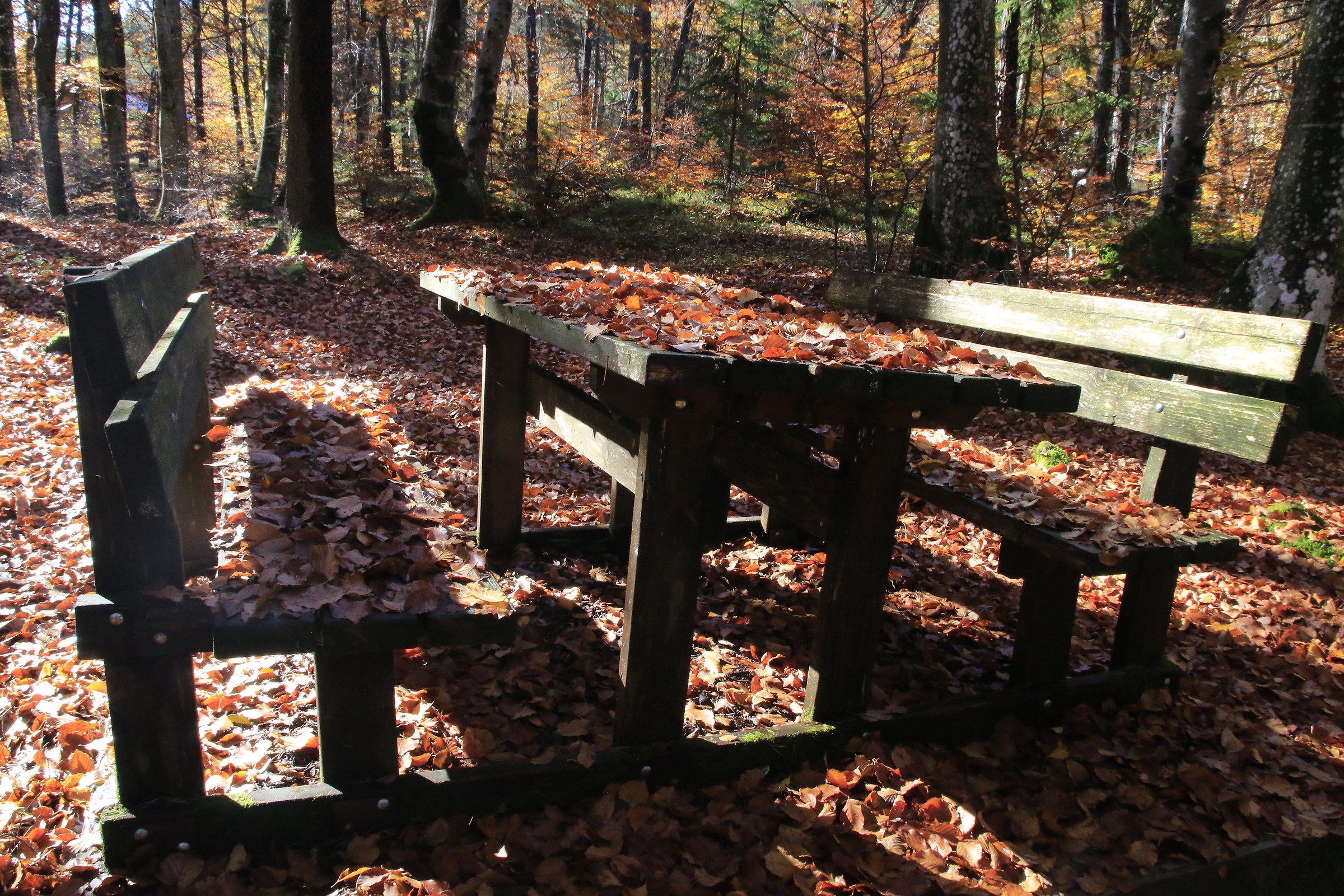 Autun pront en taola