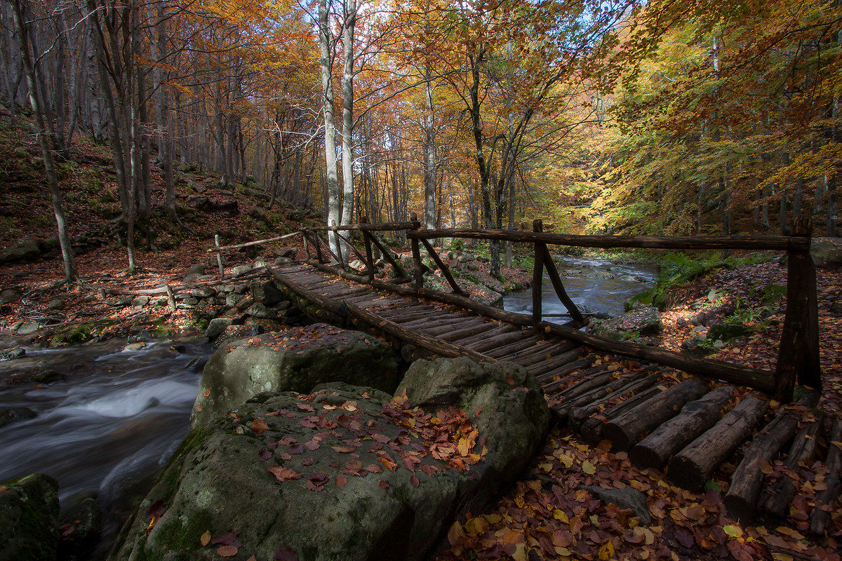 Quanto amo quel ponticino!