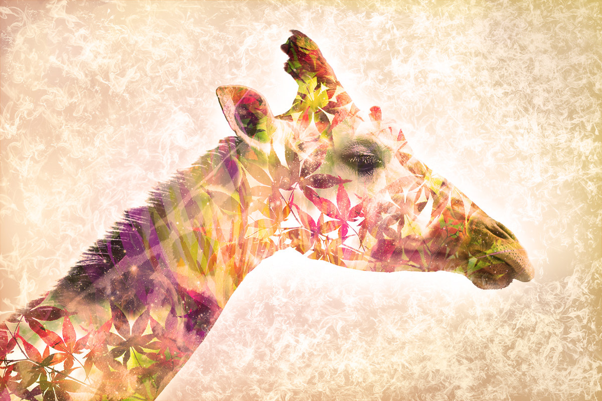 Quando la flora incontra la fauna