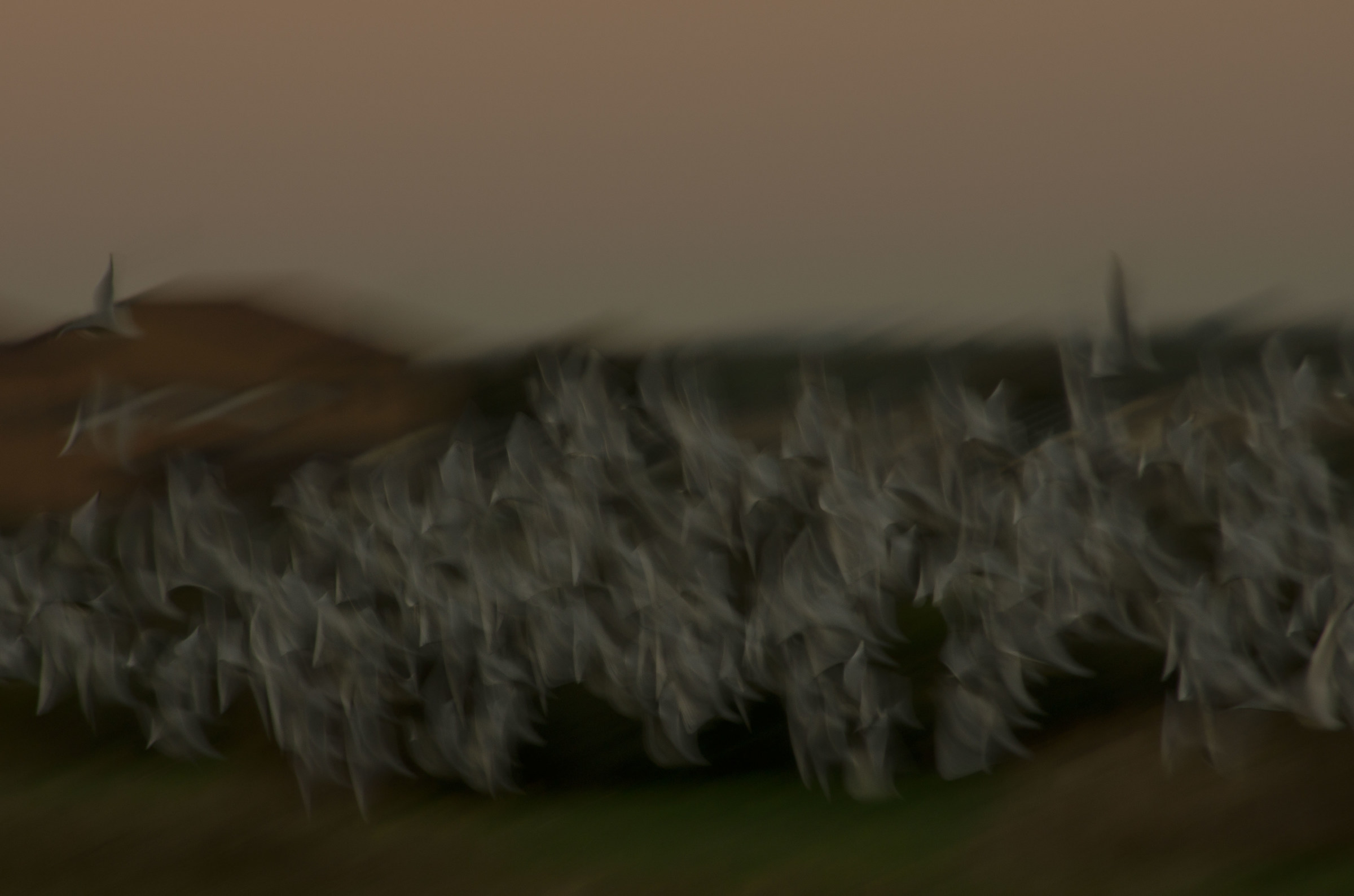 brush strokes on canvas ...