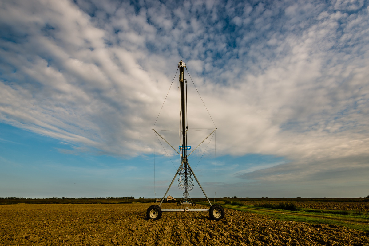 There once was a swamp ...