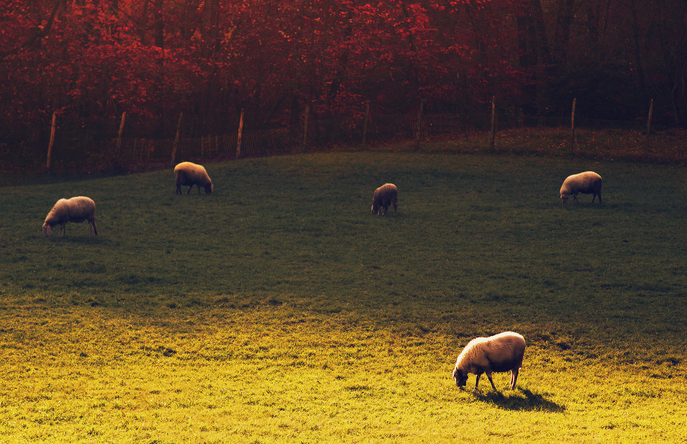 On the verge of evening