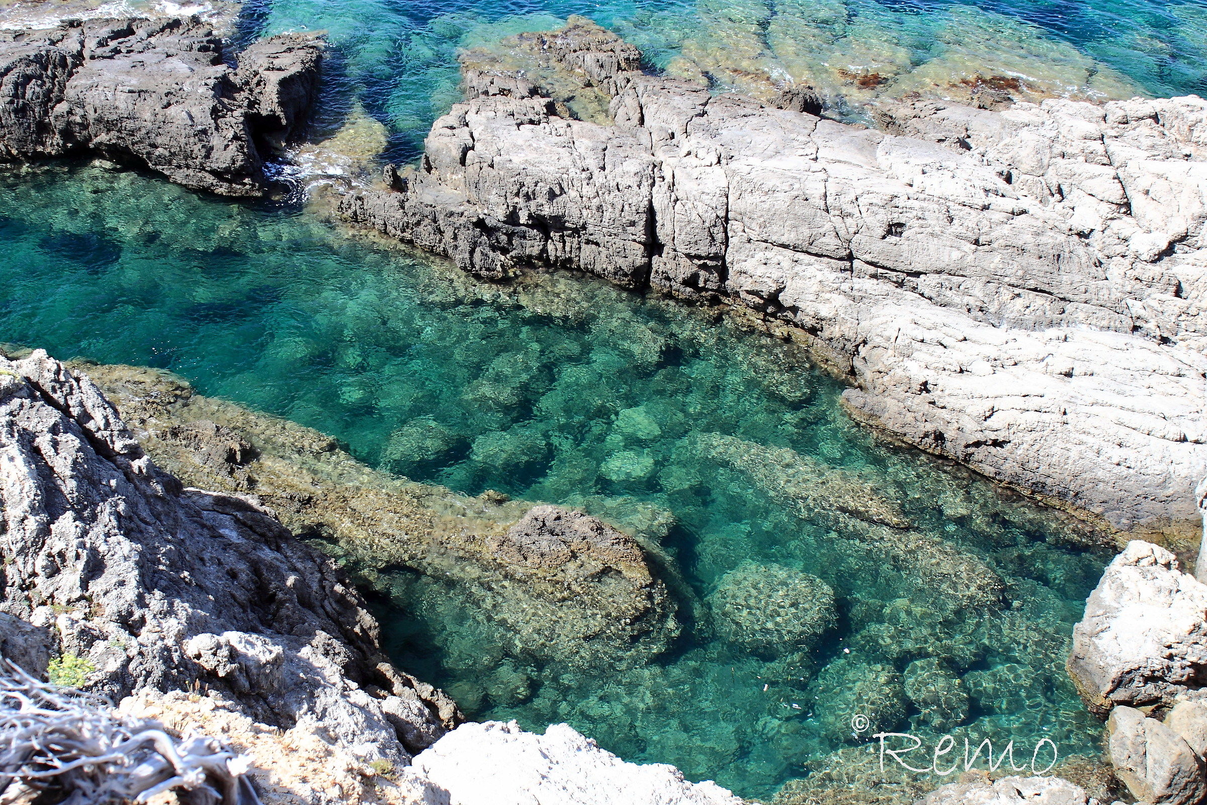 Sardinia pine port area ...