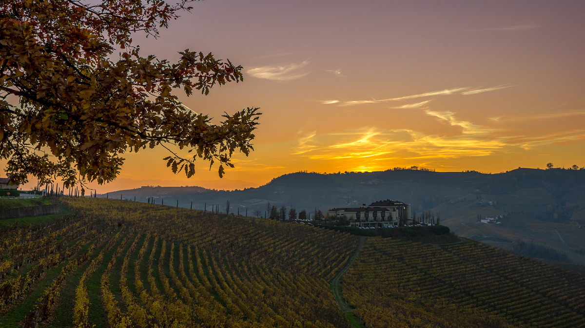 Langhe, la luce del tramonto