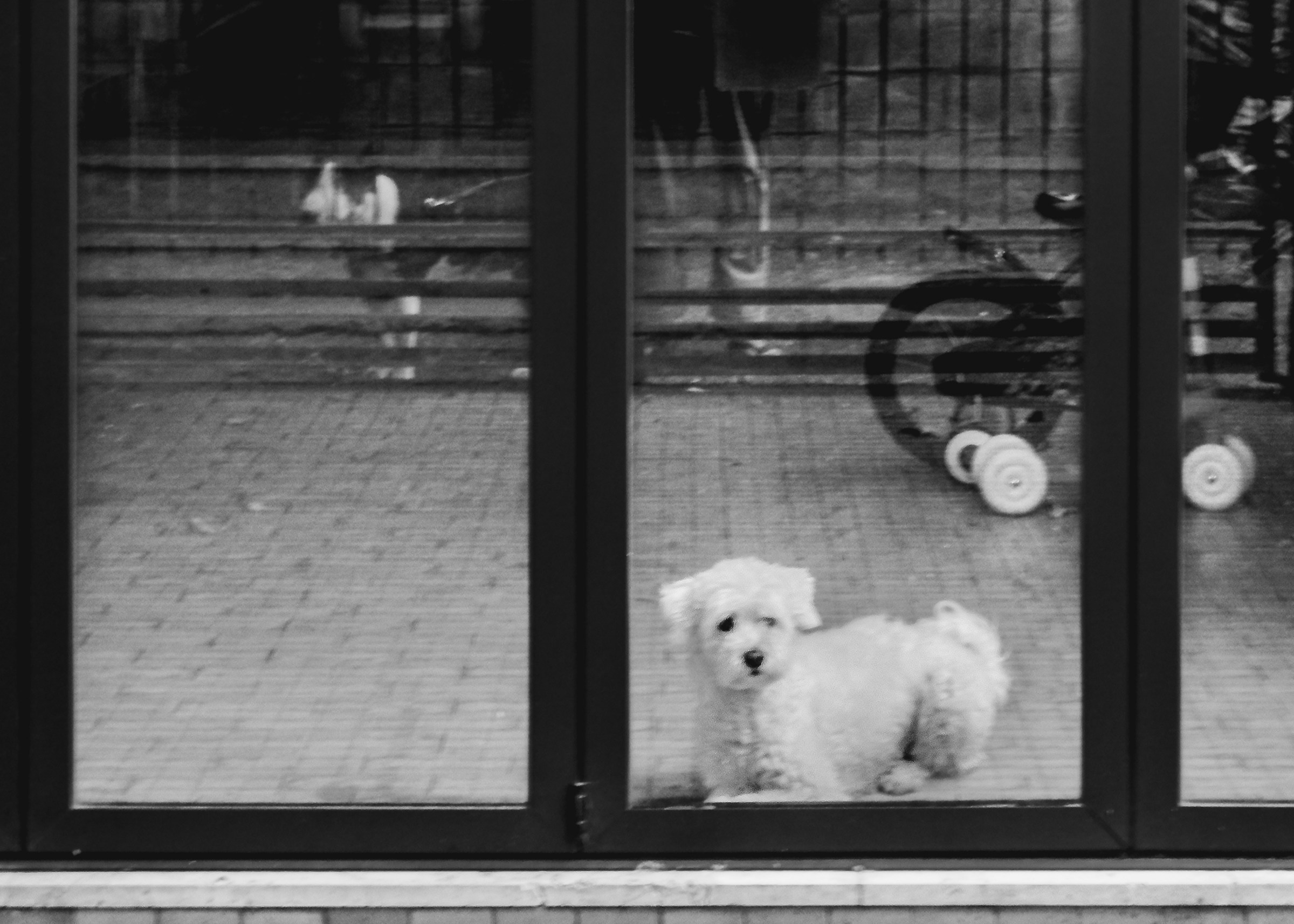 Reflection p reality?