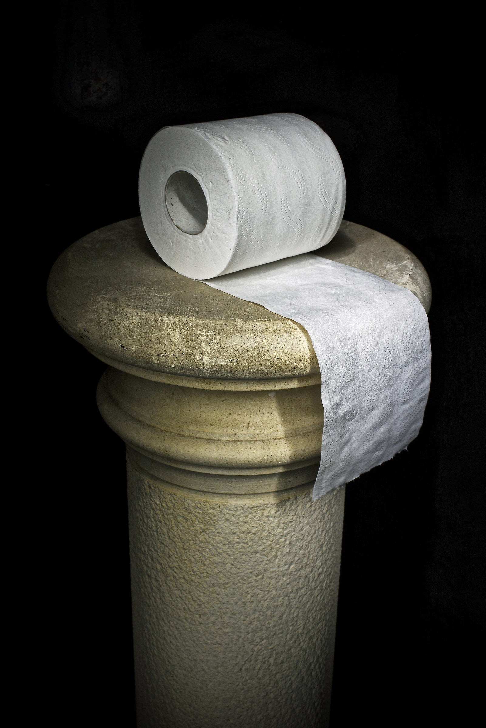 Toilet Paper