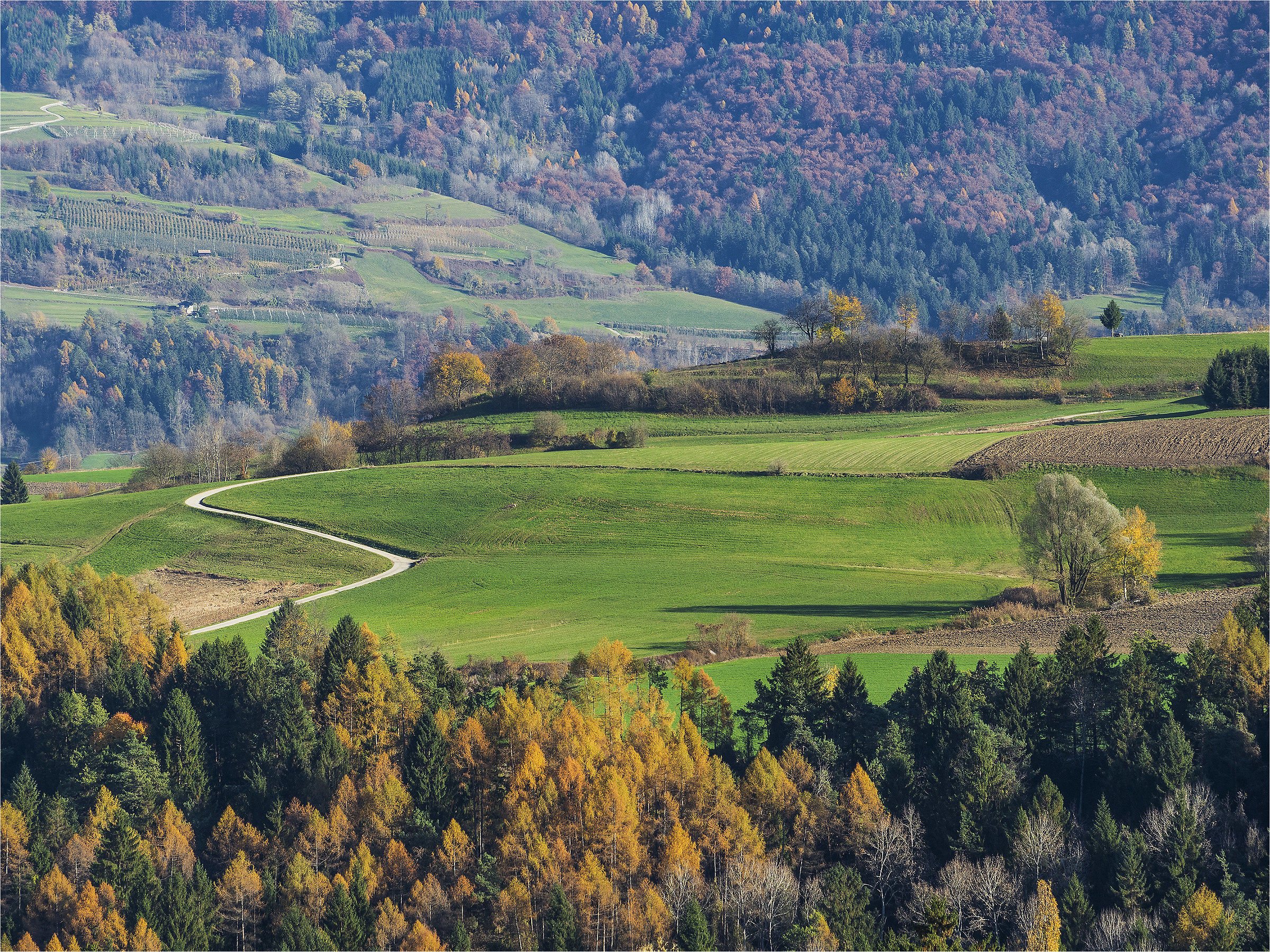 Vista autunnale... da casa