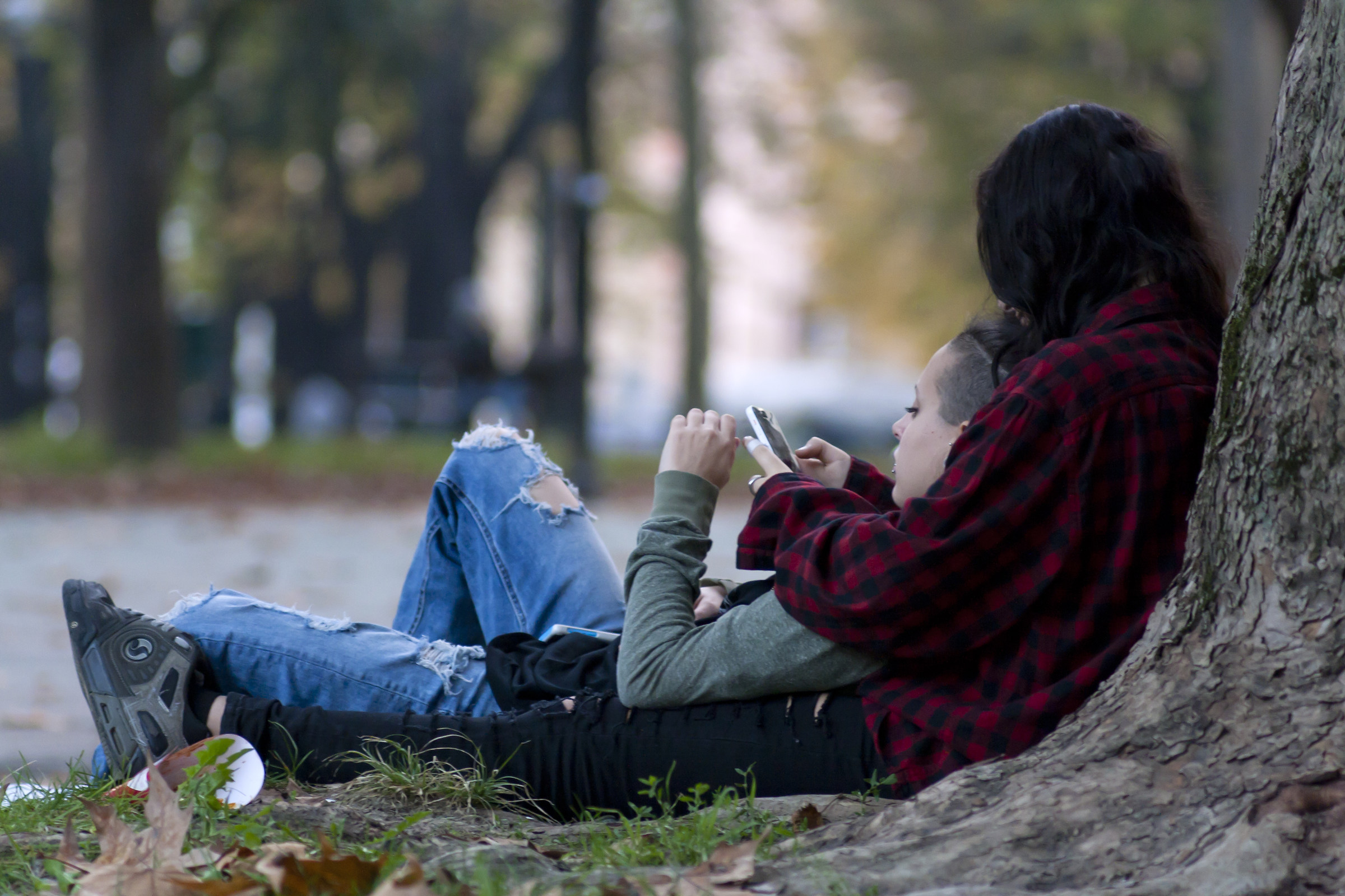 Montagnola (Bologna)