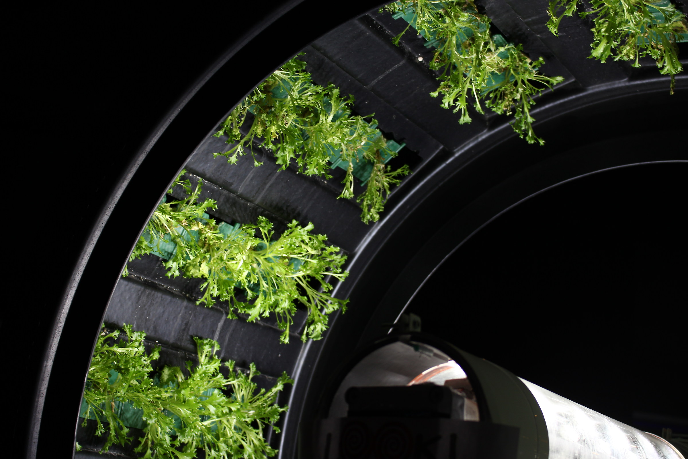 La ruota gira per tutti