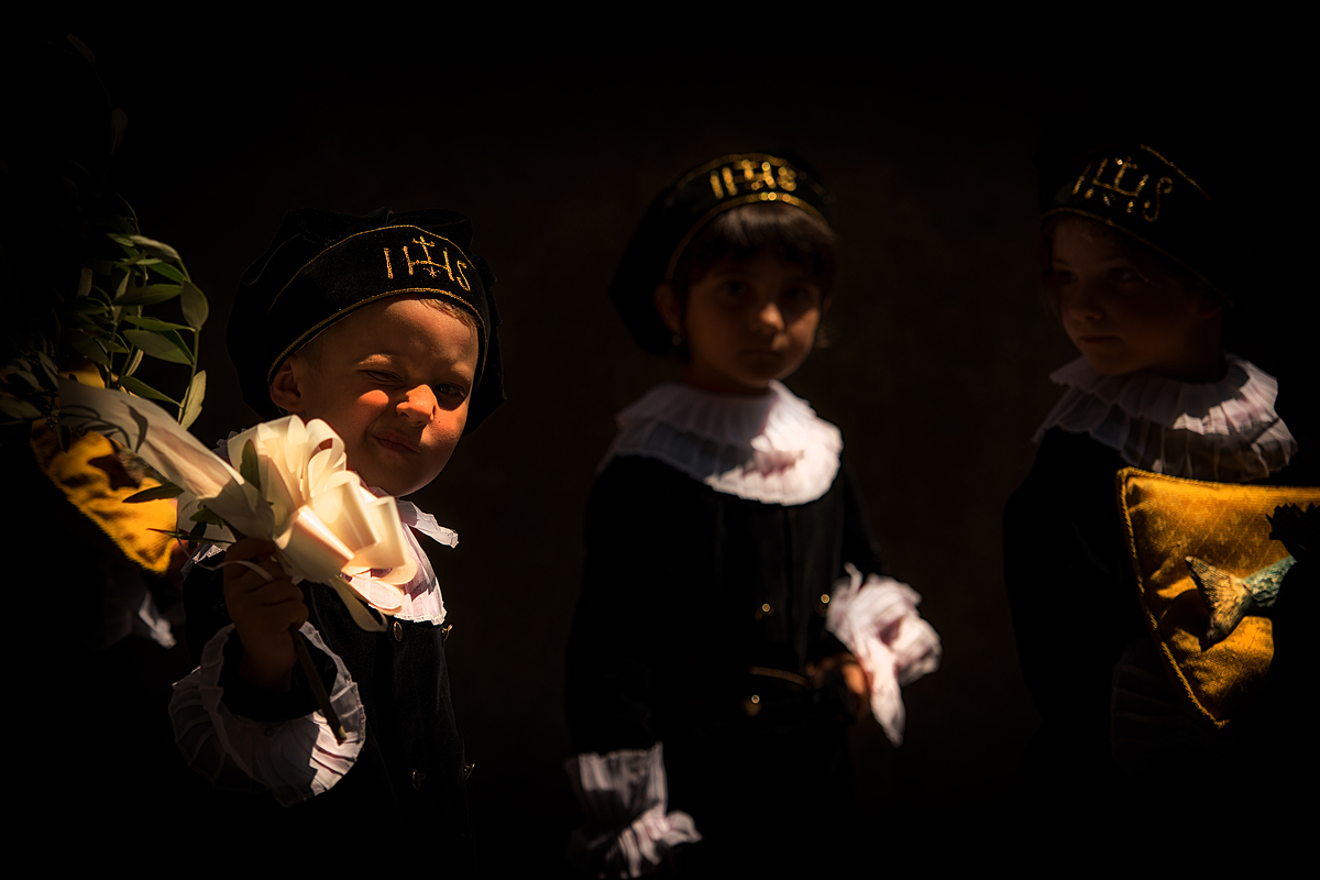 Siam three small ...... Foxelli