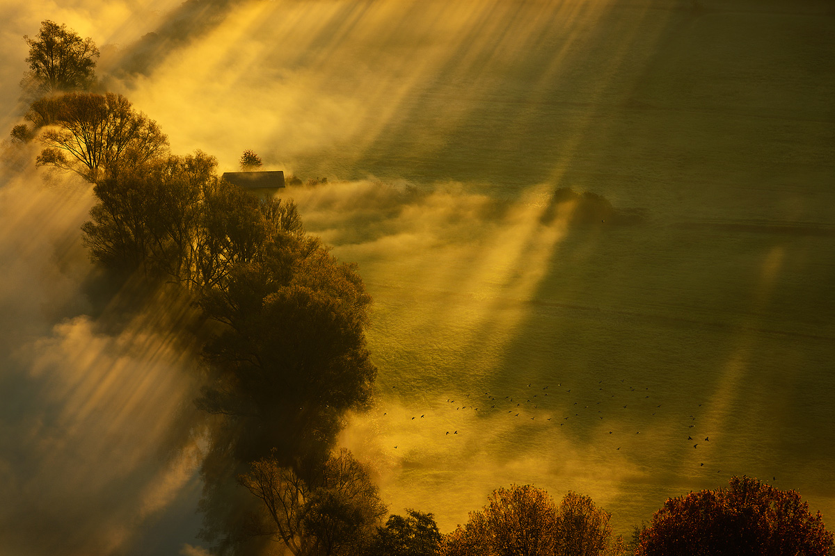 Between the fog and sun