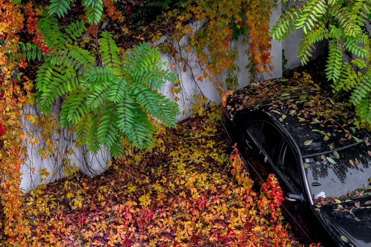 the crazy season ...............