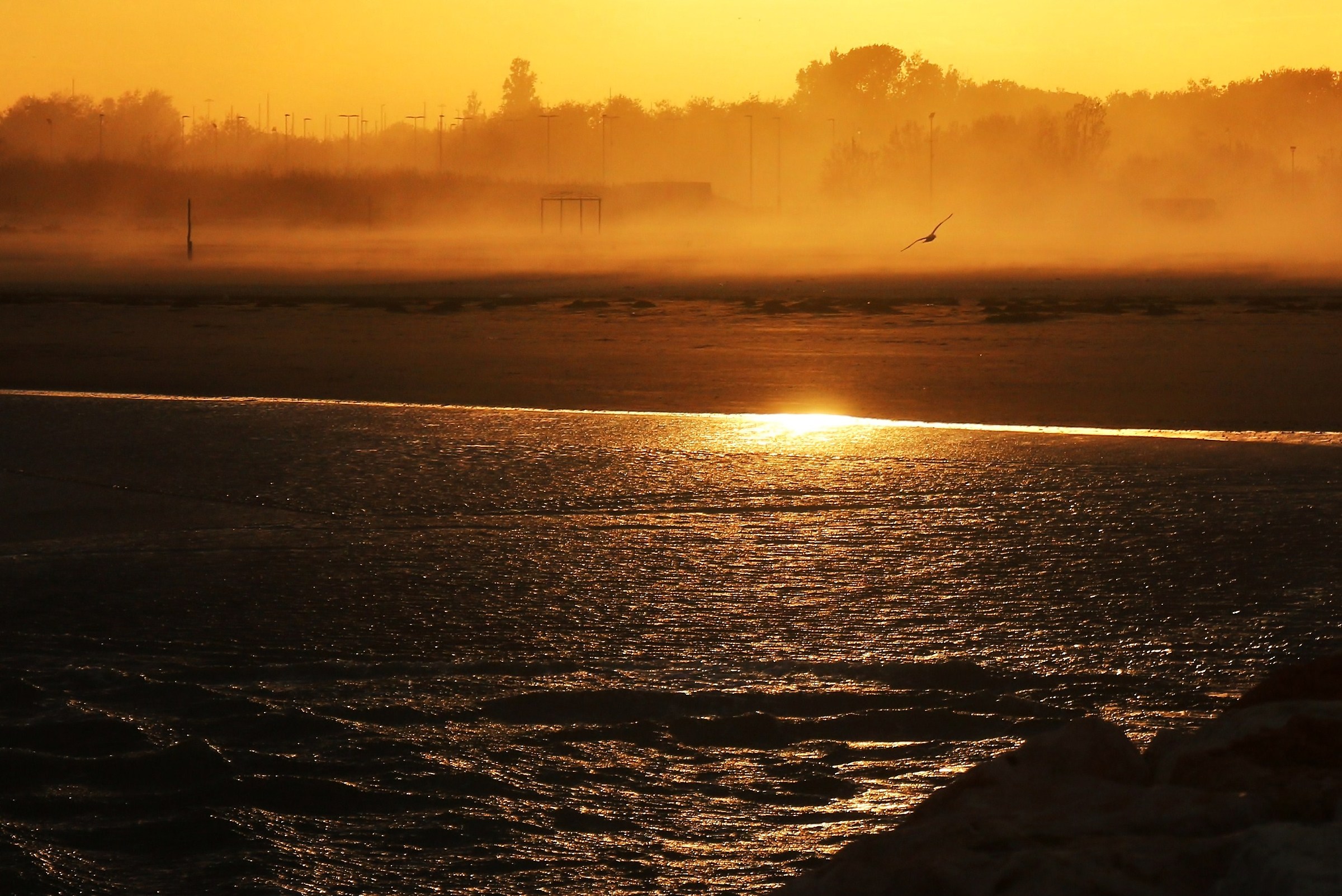 flying sand and seagulls