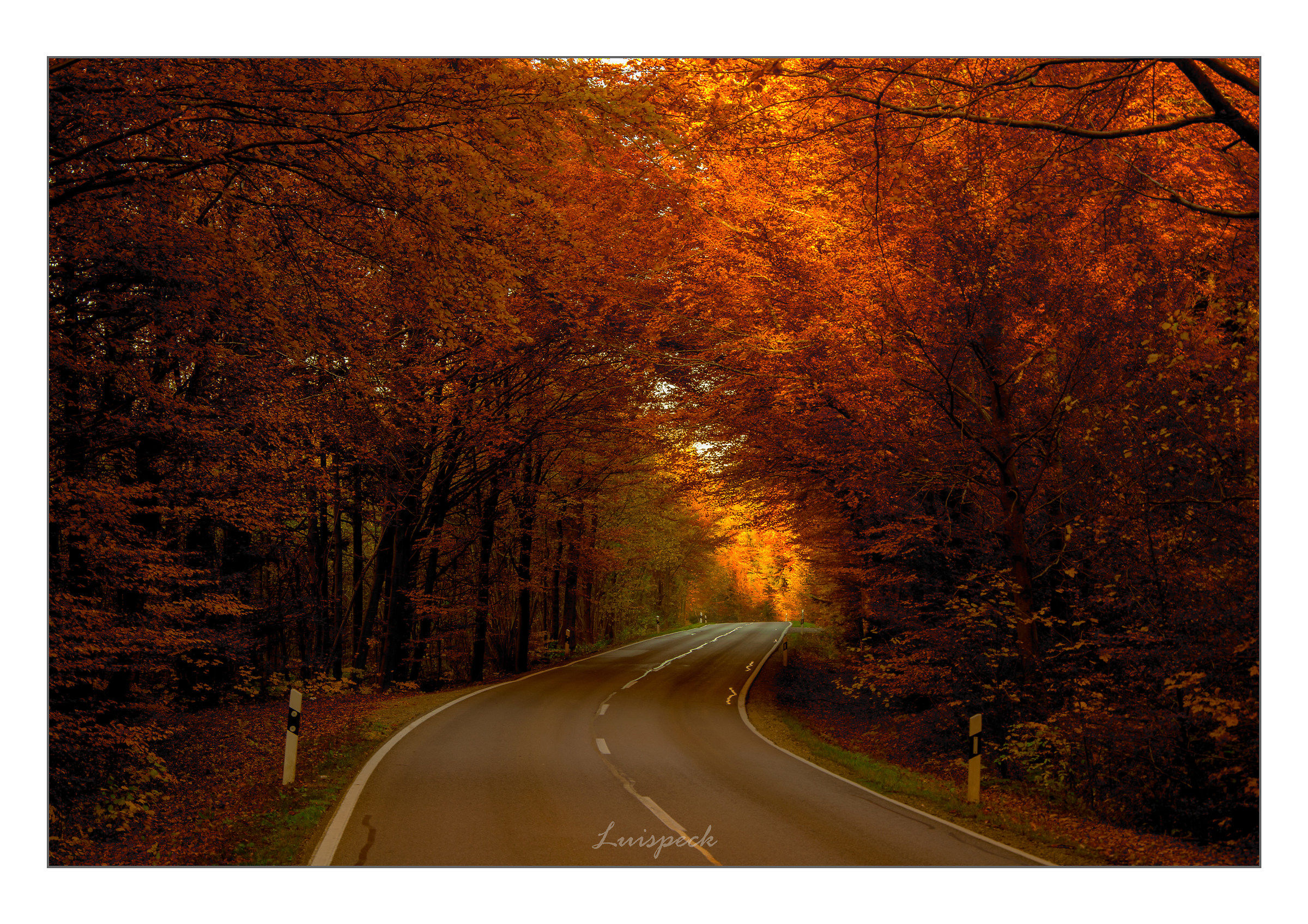 Roads Autumn