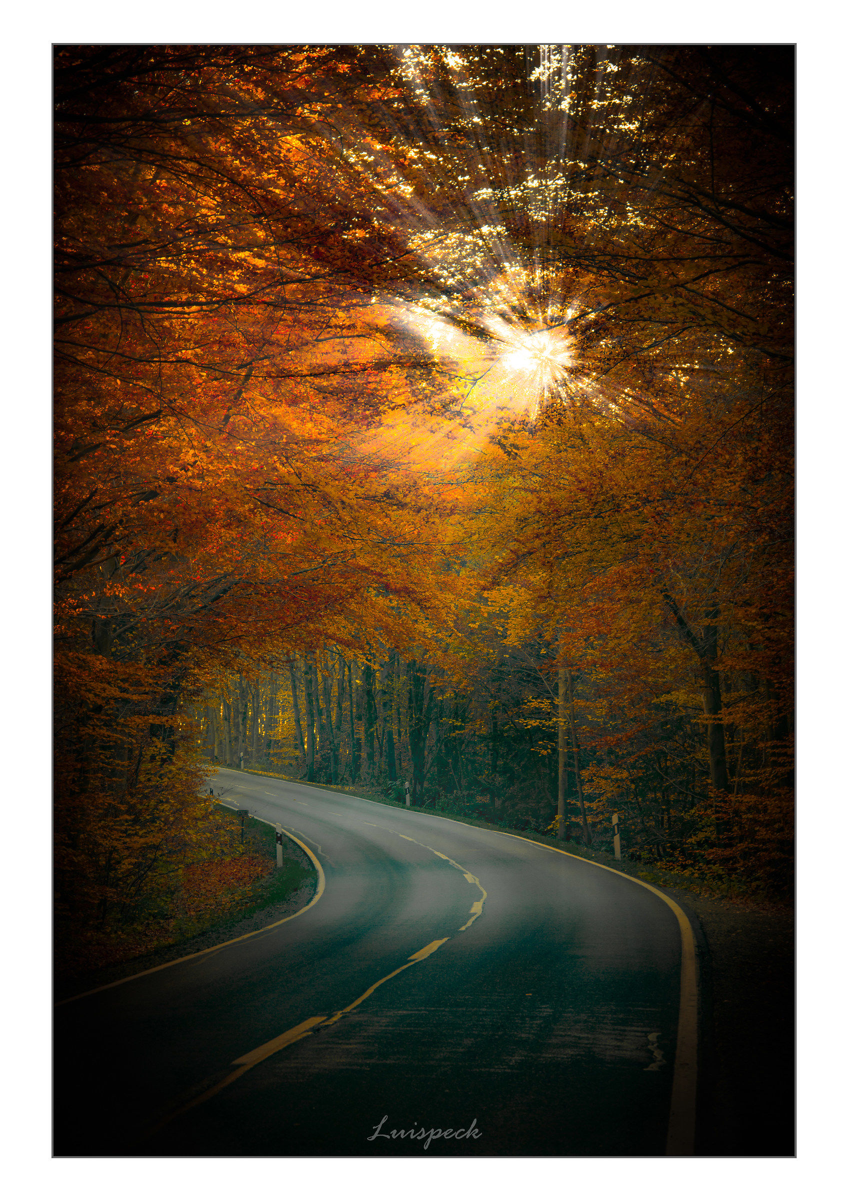 Roads Autumn