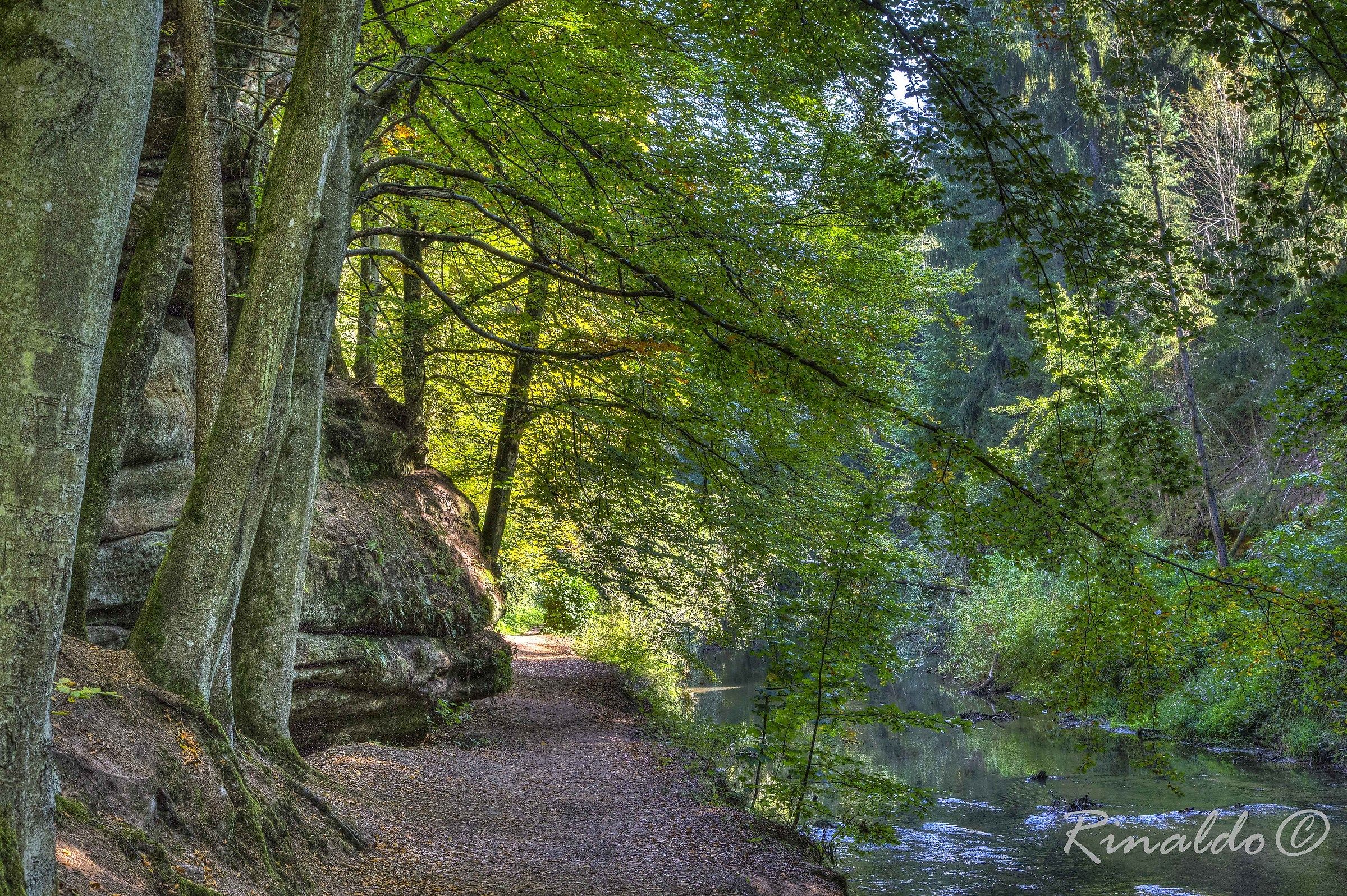 The path along the river