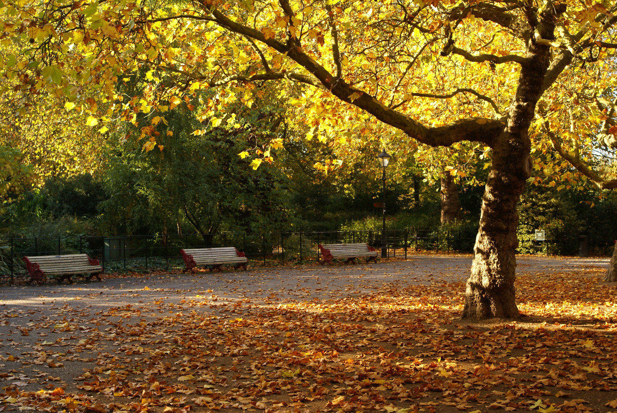 Autunno a Battersea Park