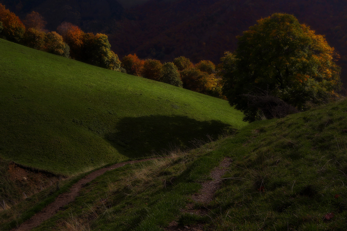 One glimmer before dark