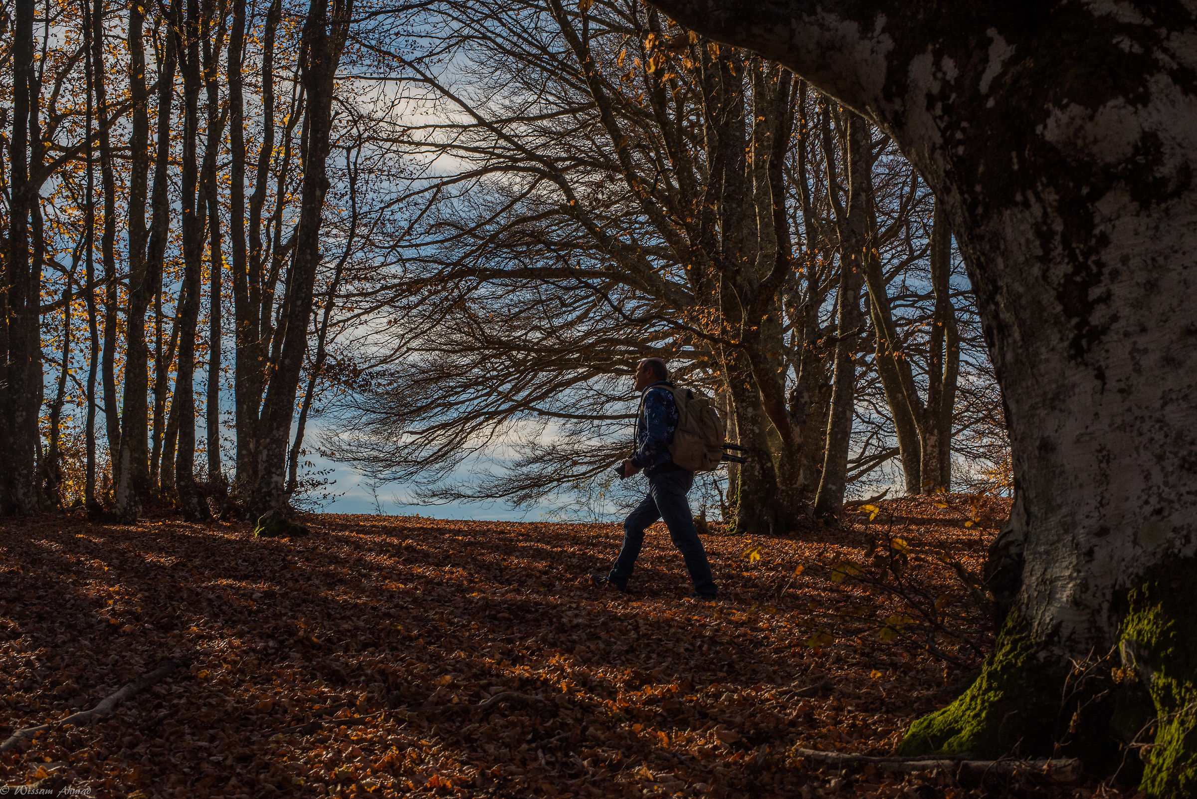 Il Tempio dell'Autunno