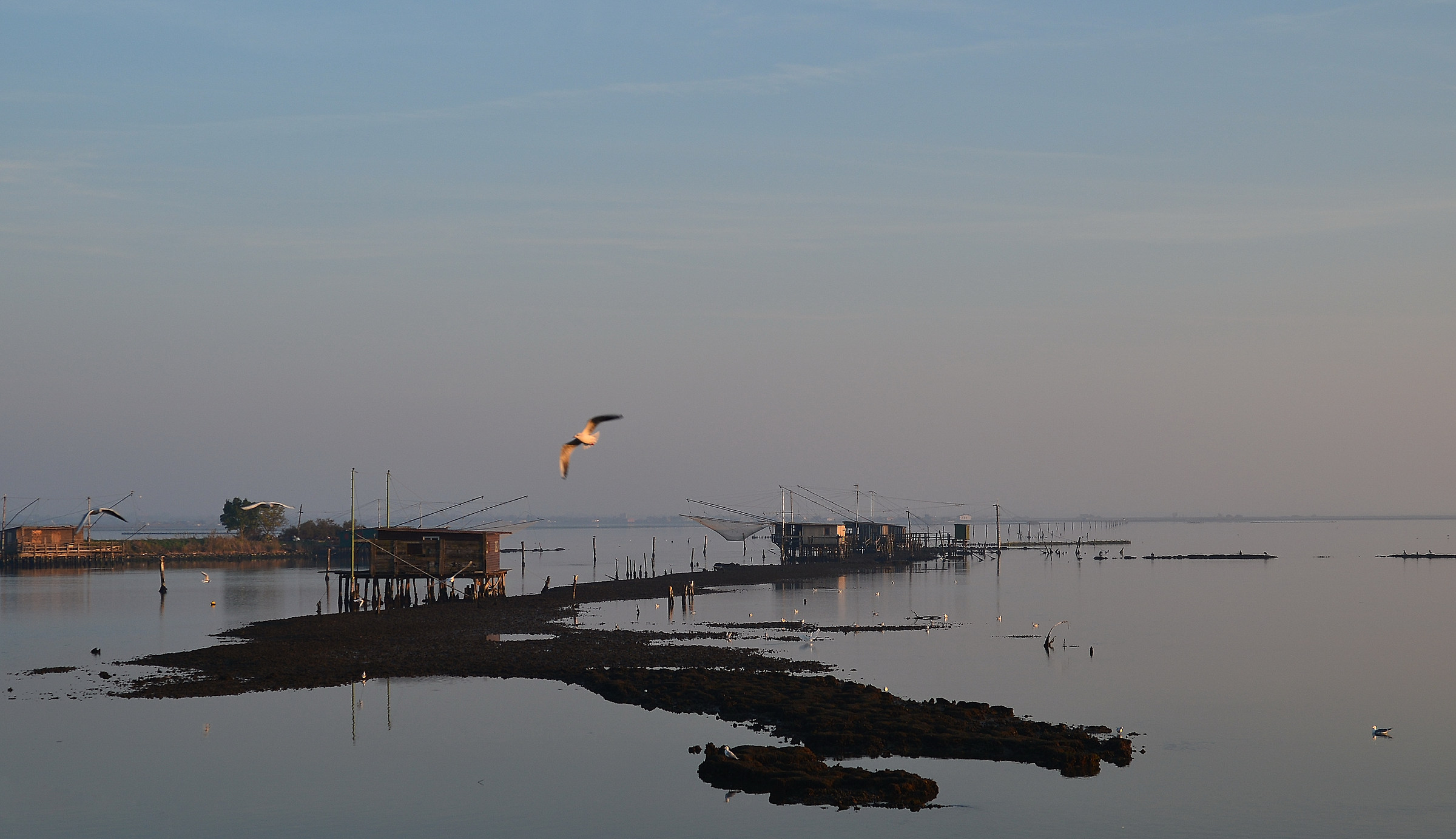 laguna di Comacchio