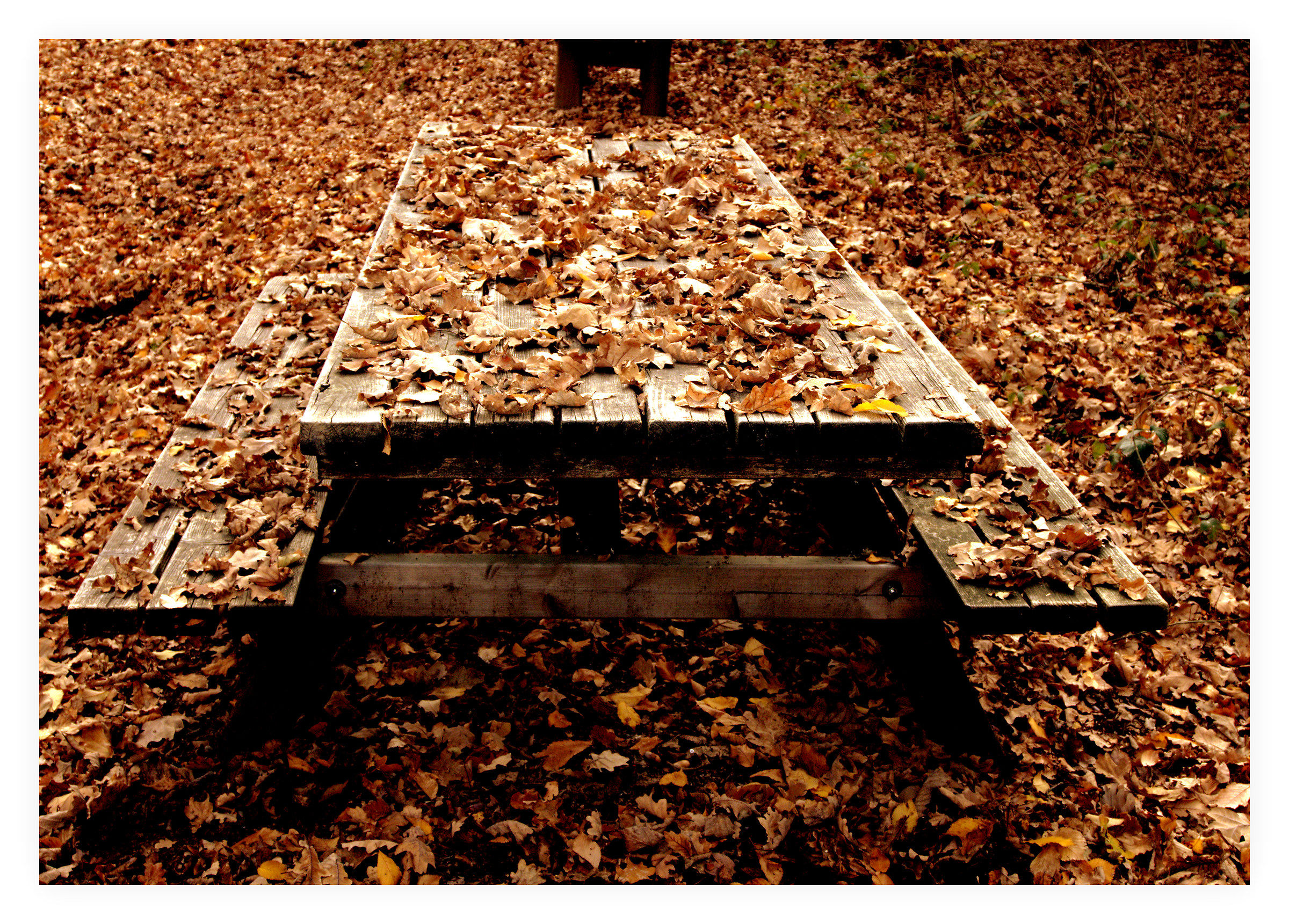 Signori...l'autunno è servito