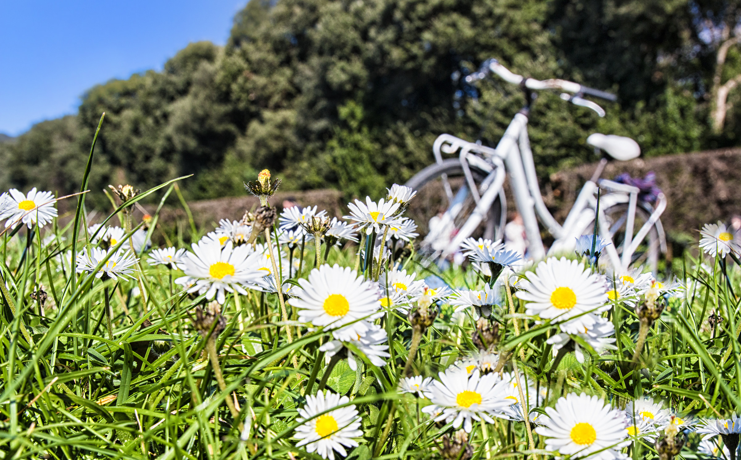 passeggiata di primavera