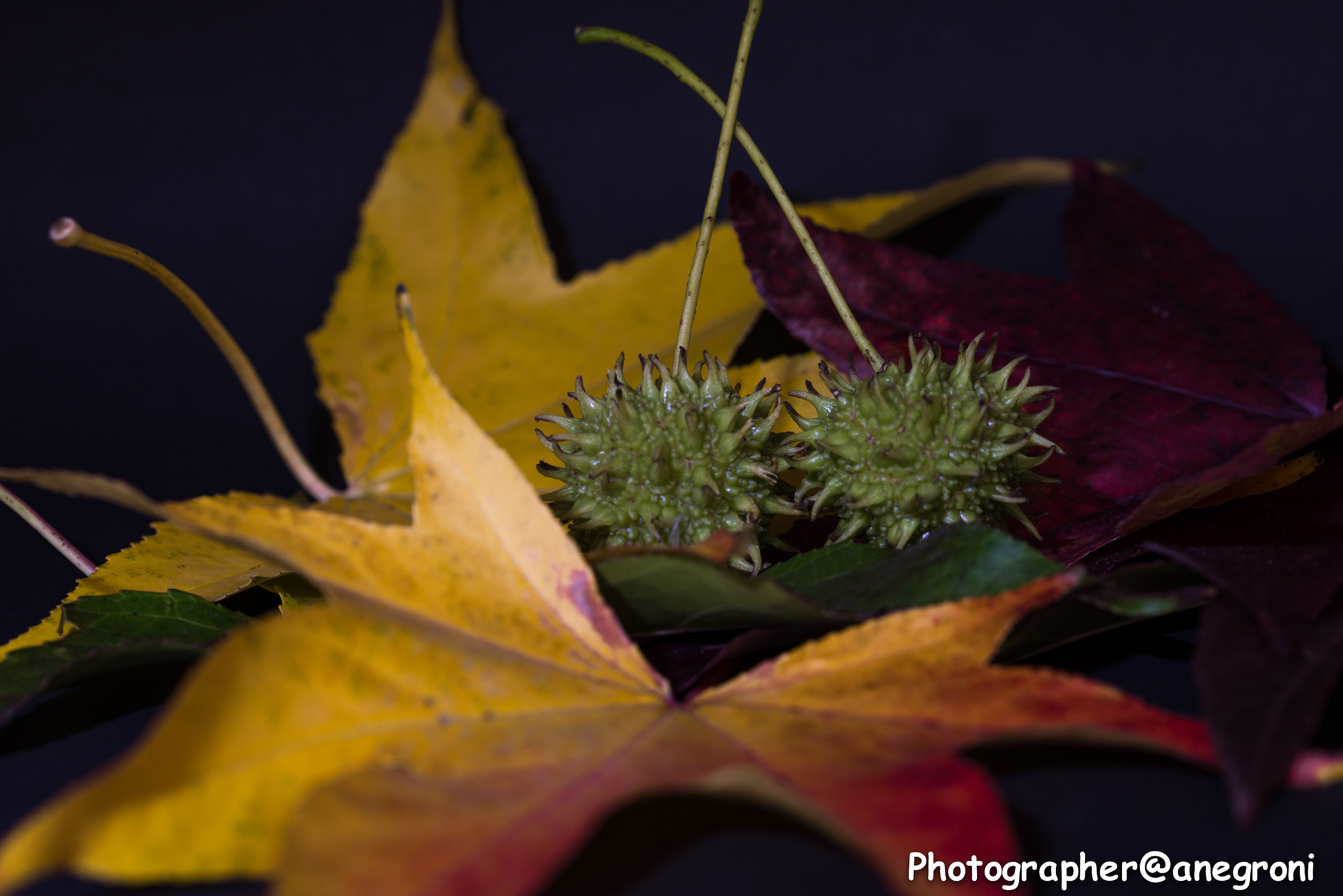 Splashes of light side