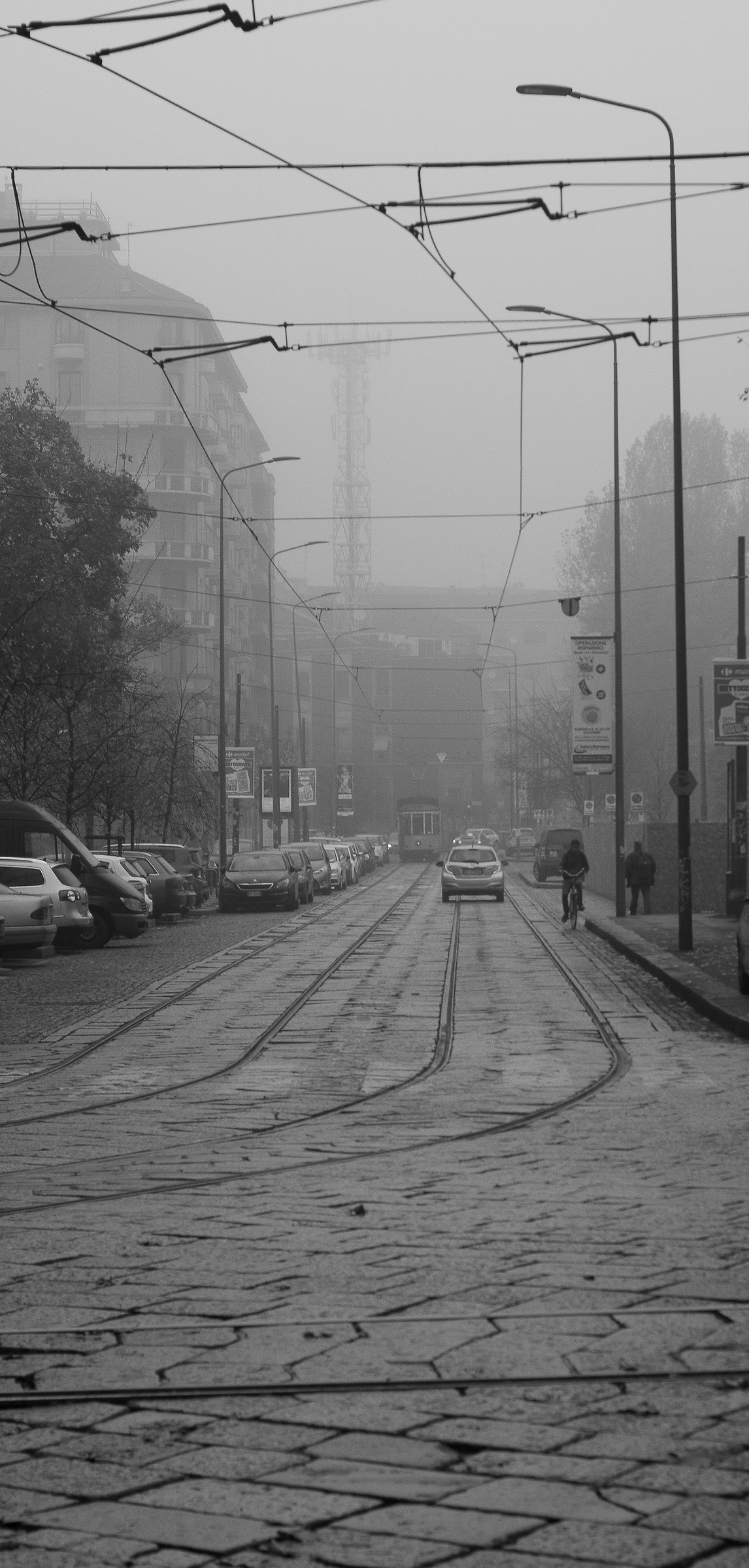 nebbia