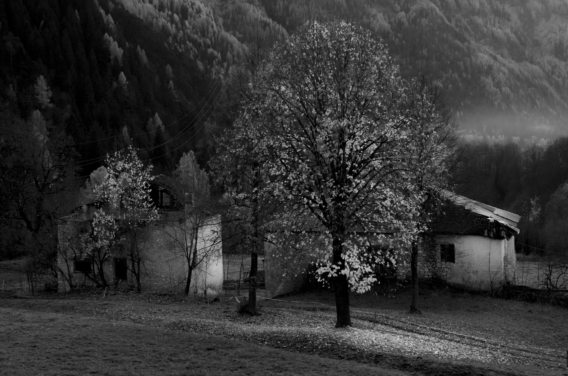 i ruderi delle Osne nel Primiero