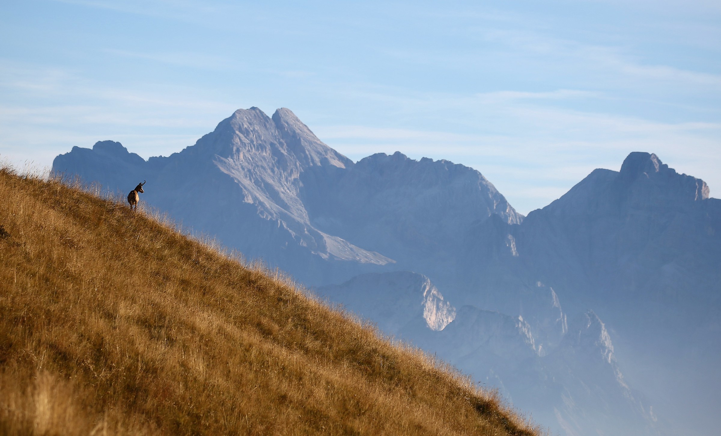 living room with a view