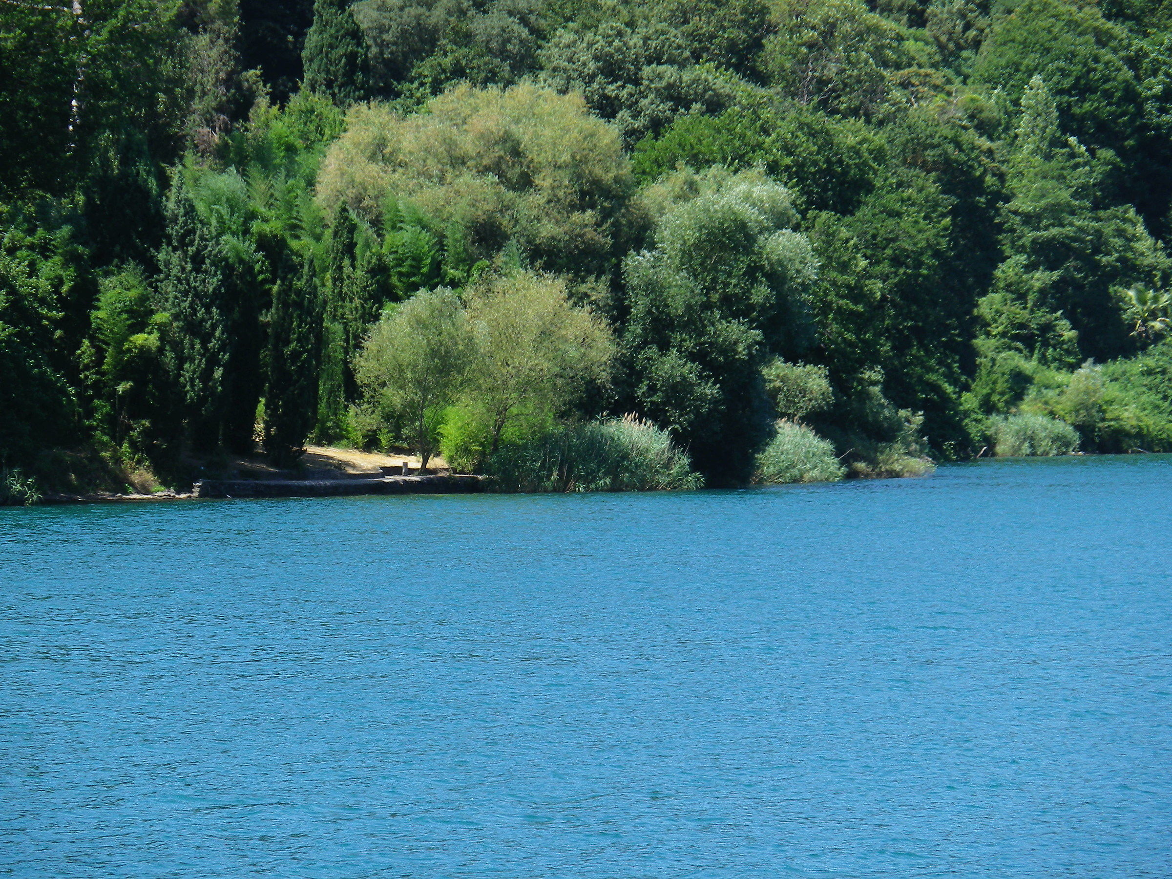 Uno squarcio del lago di Nemi (rm)