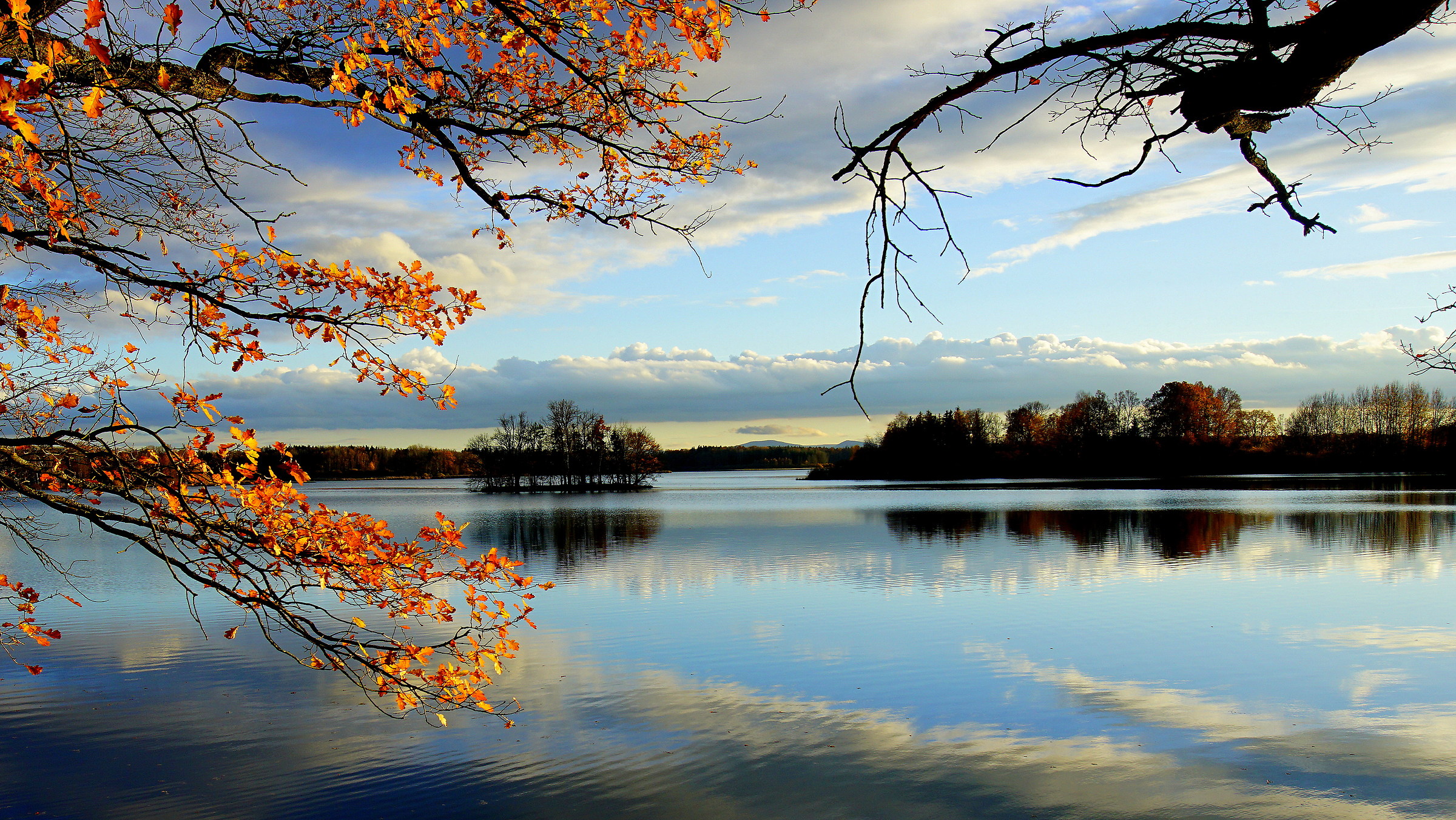 A fishpond near city of Trebon