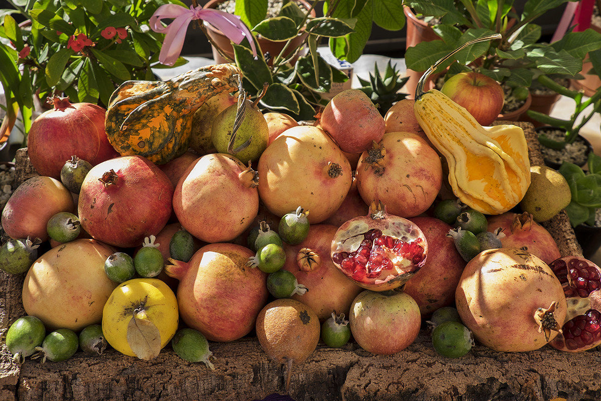 L'autunno e i suoi colori