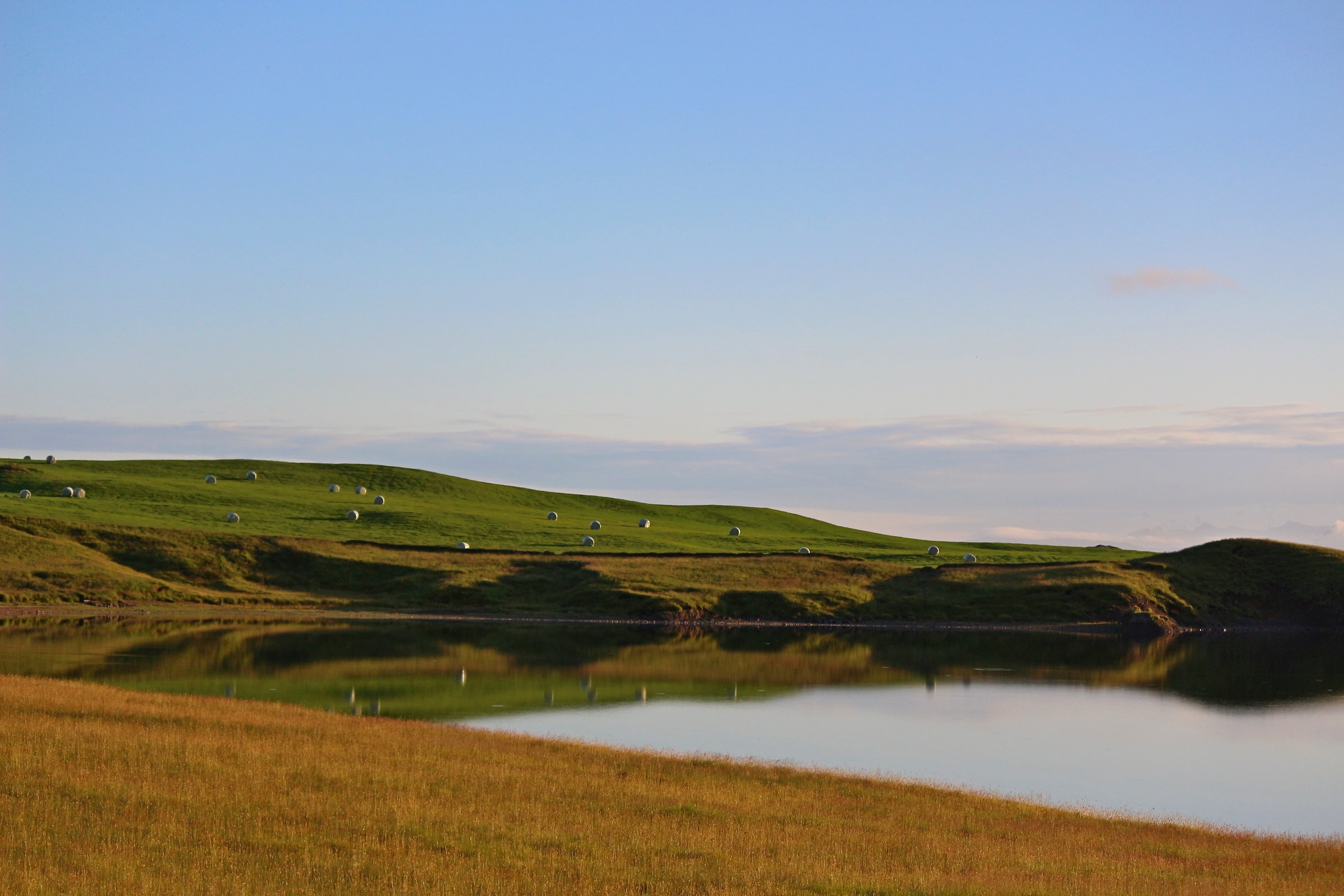 Fieno sulla strada per Hòfn