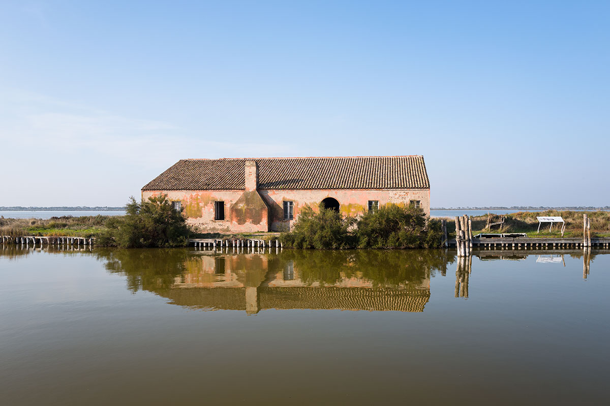 El camin del cason...