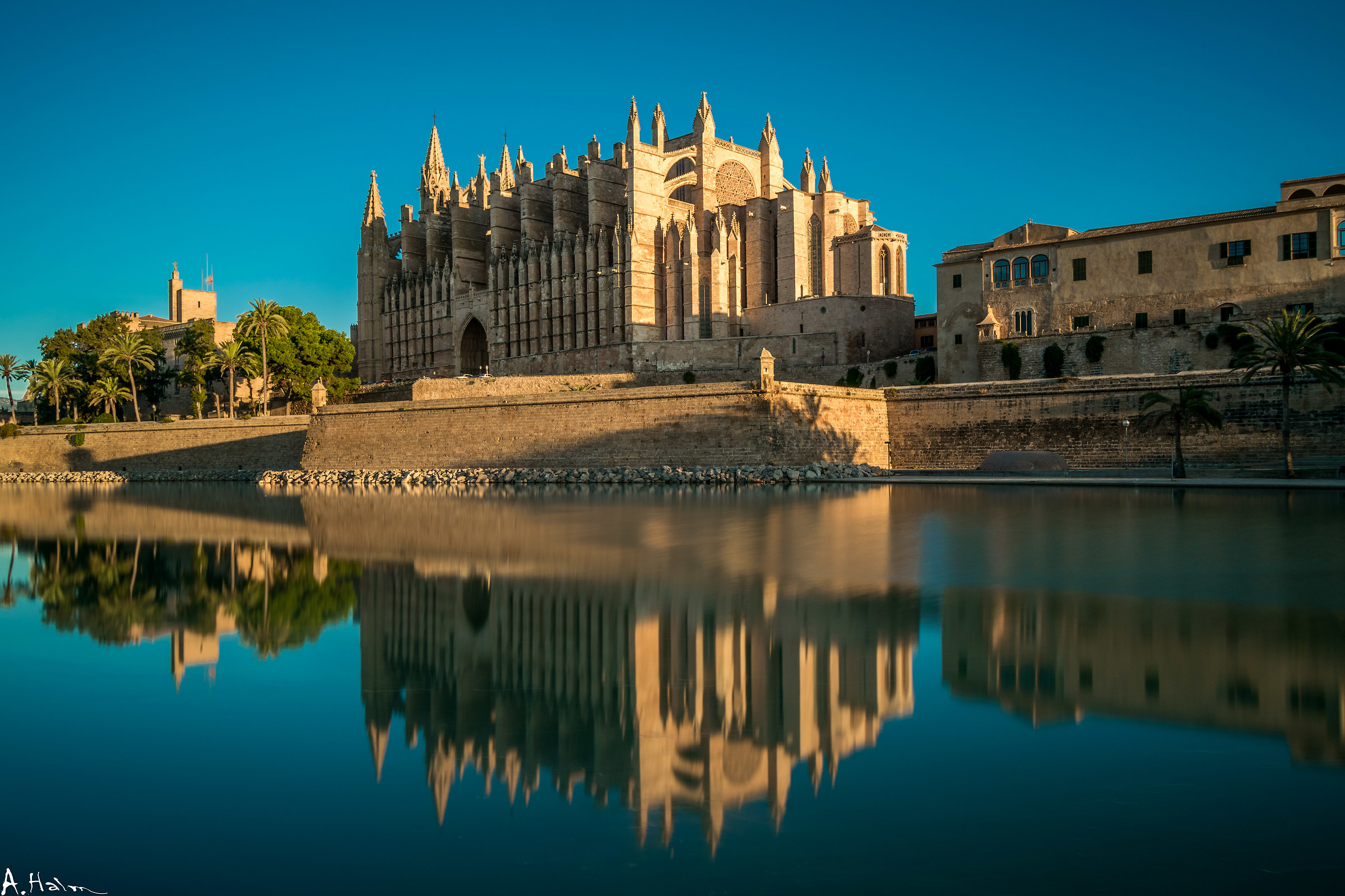 Cattedrale di Palma di mattina