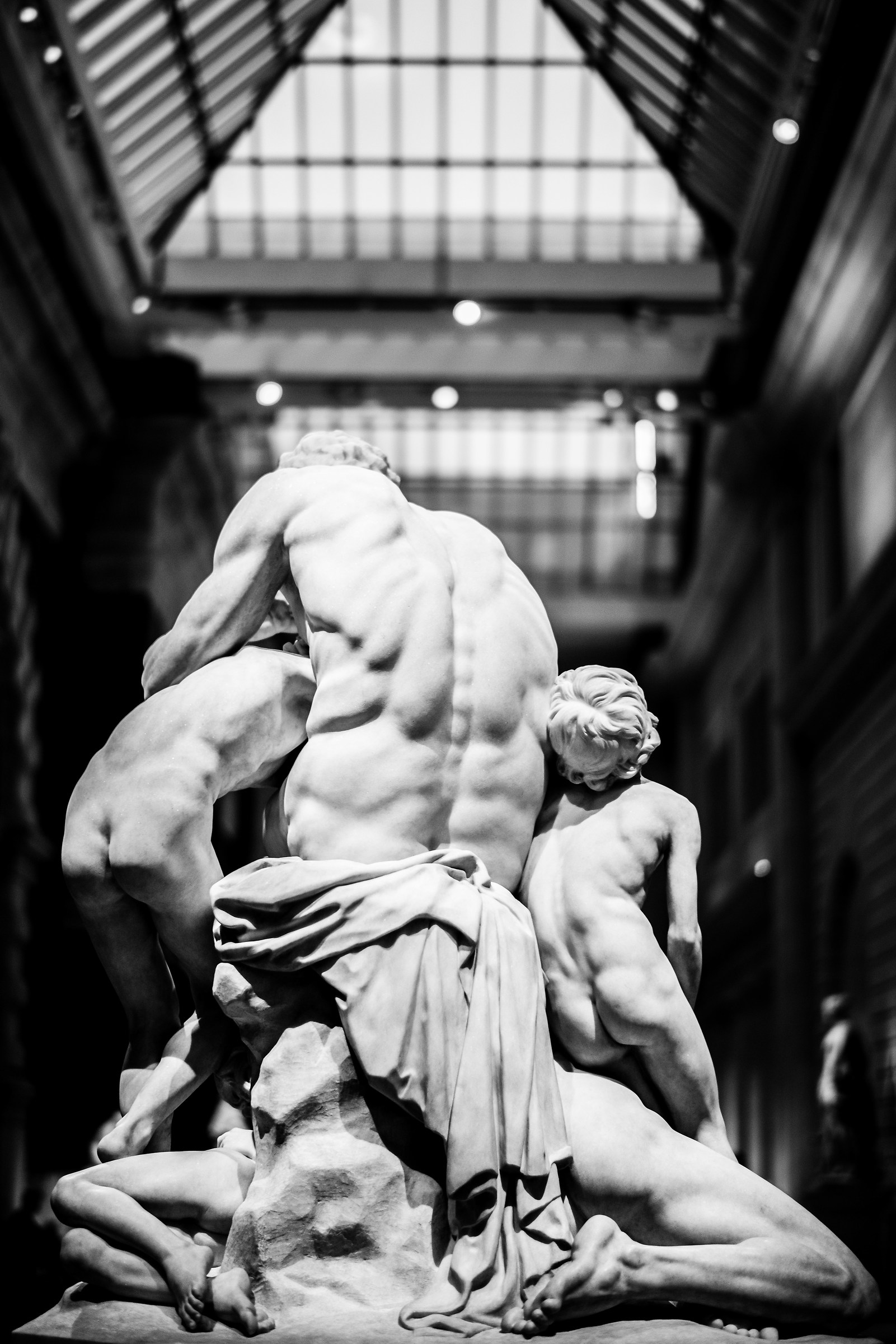 Laocoon and His Sons Back
