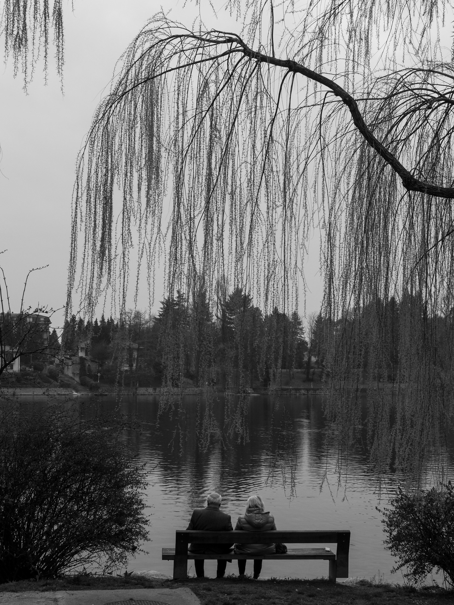 Leaden afternoon - 2